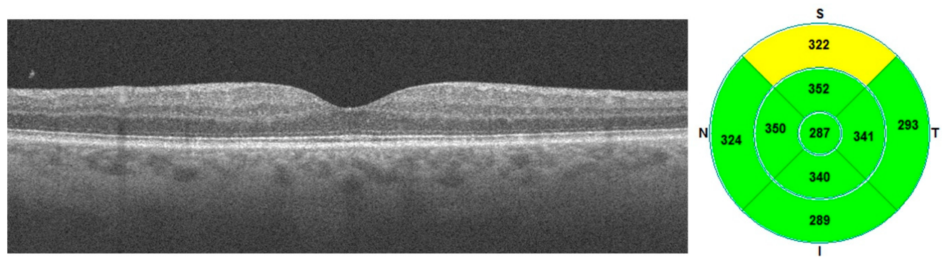 Diagnostics 13 03100 g002