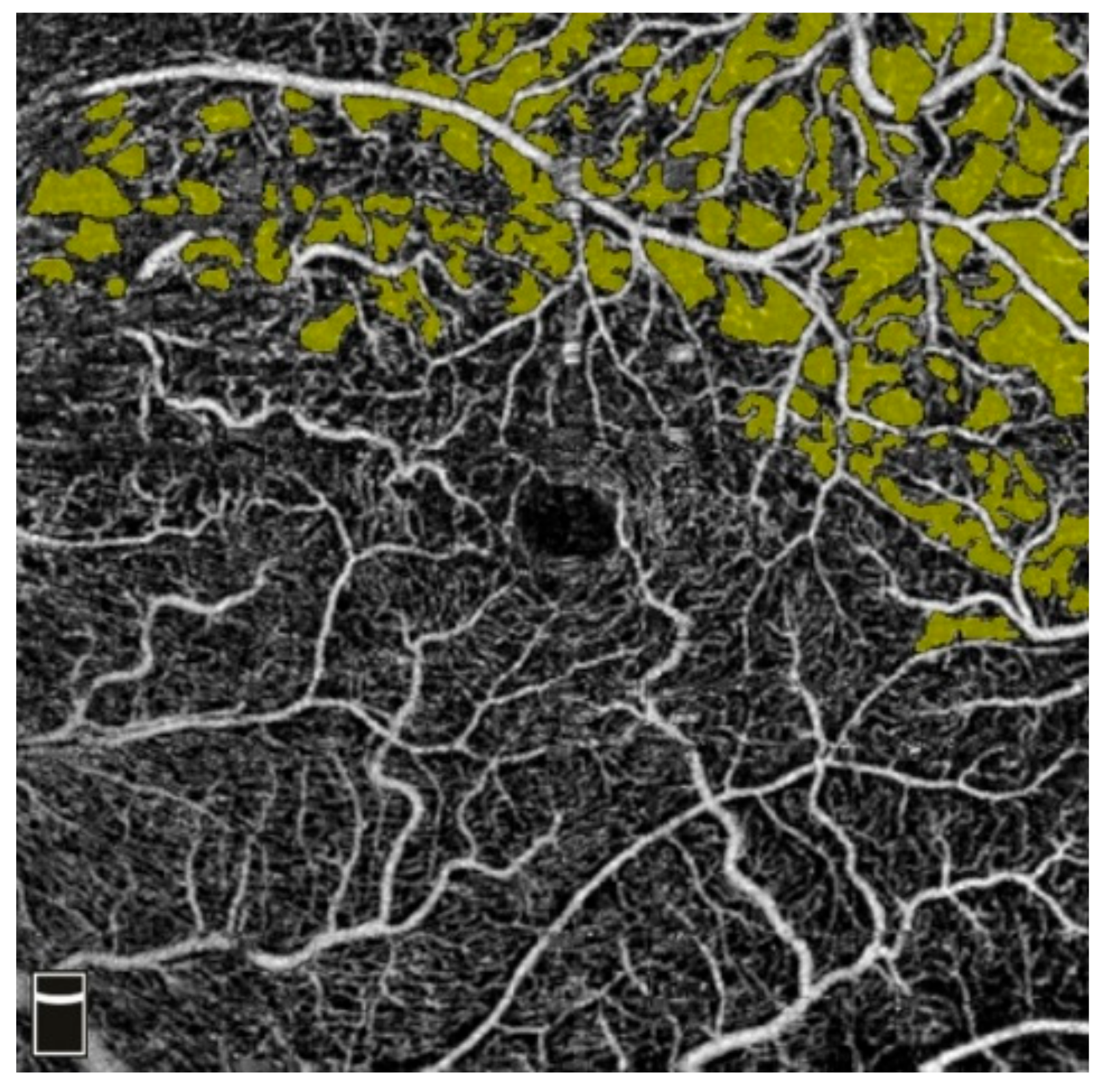 Diagnostics 13 03100 g012