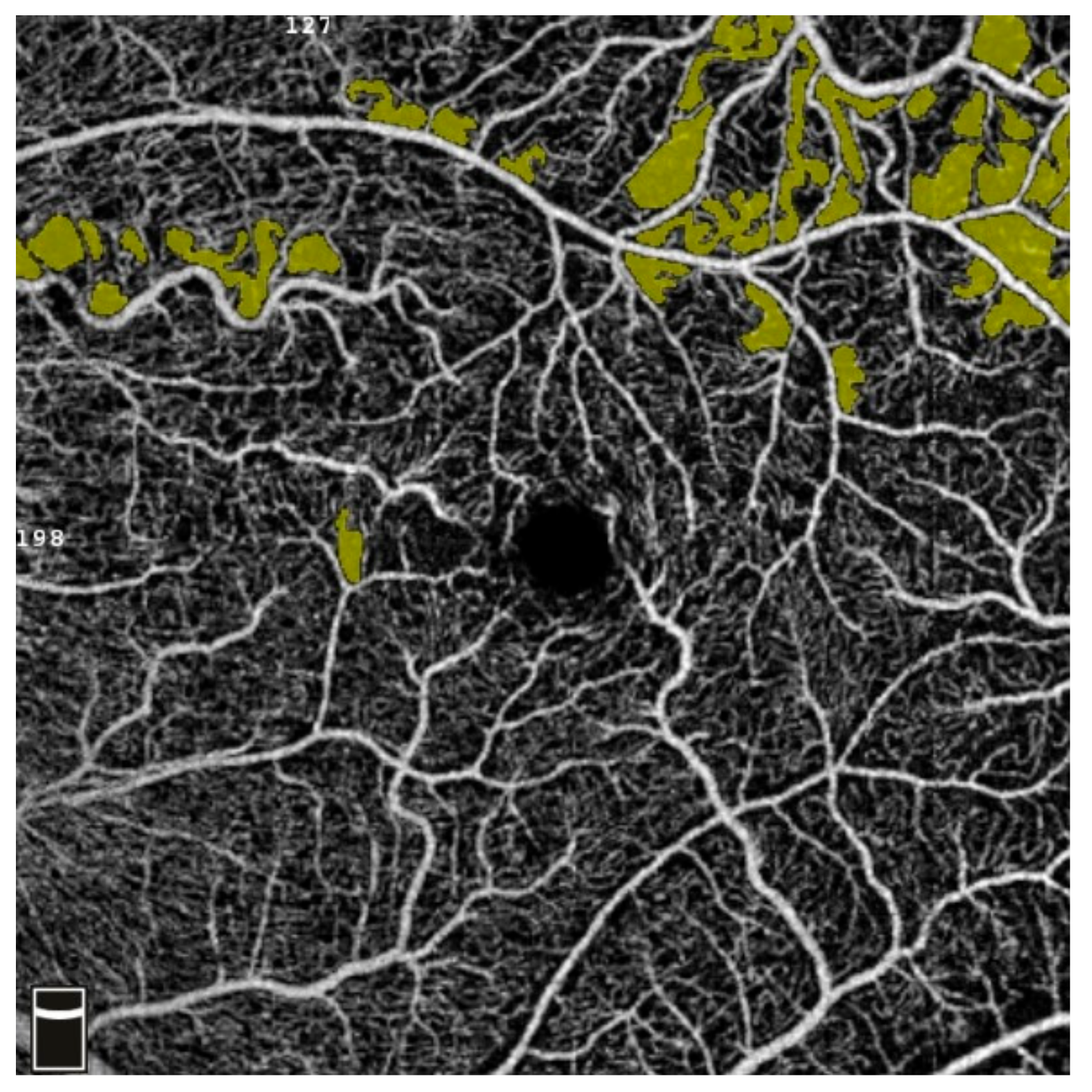 Diagnostics 13 03100 g013