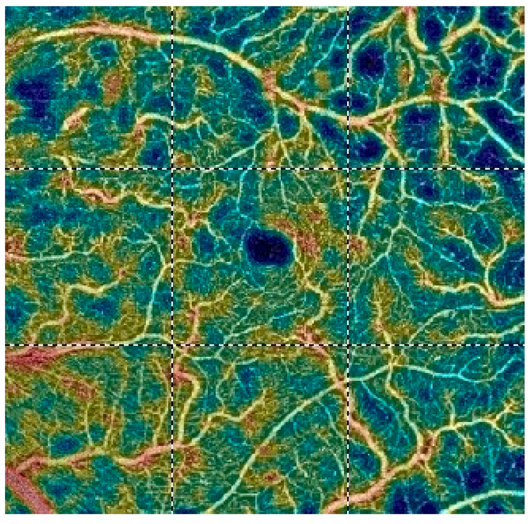 Diagnostics 13 03100 g014