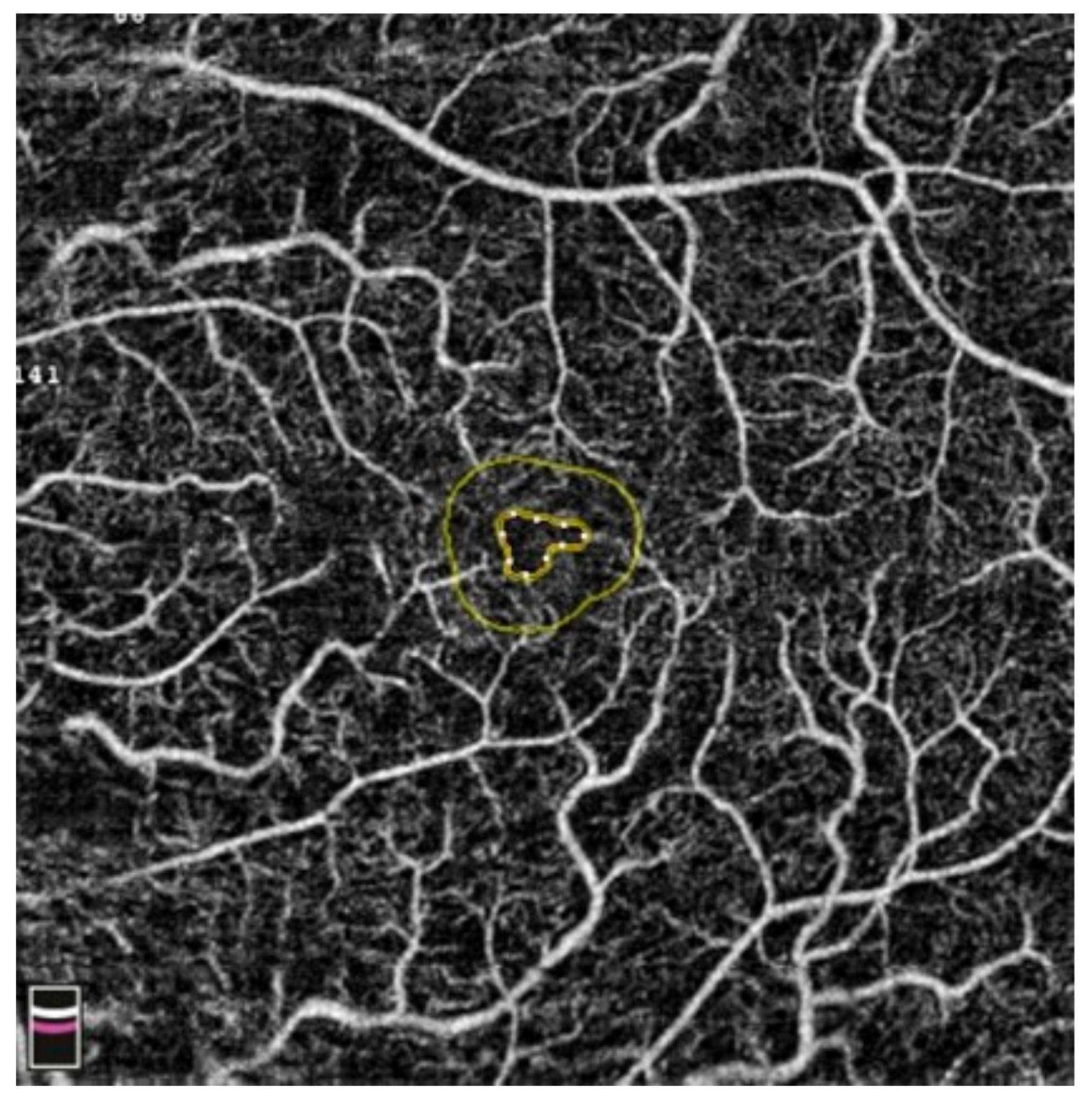 Diagnostics 13 03100 g022