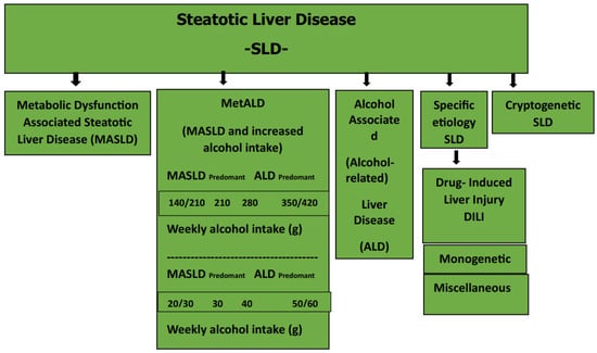 Diagnostics 13 03104 g001