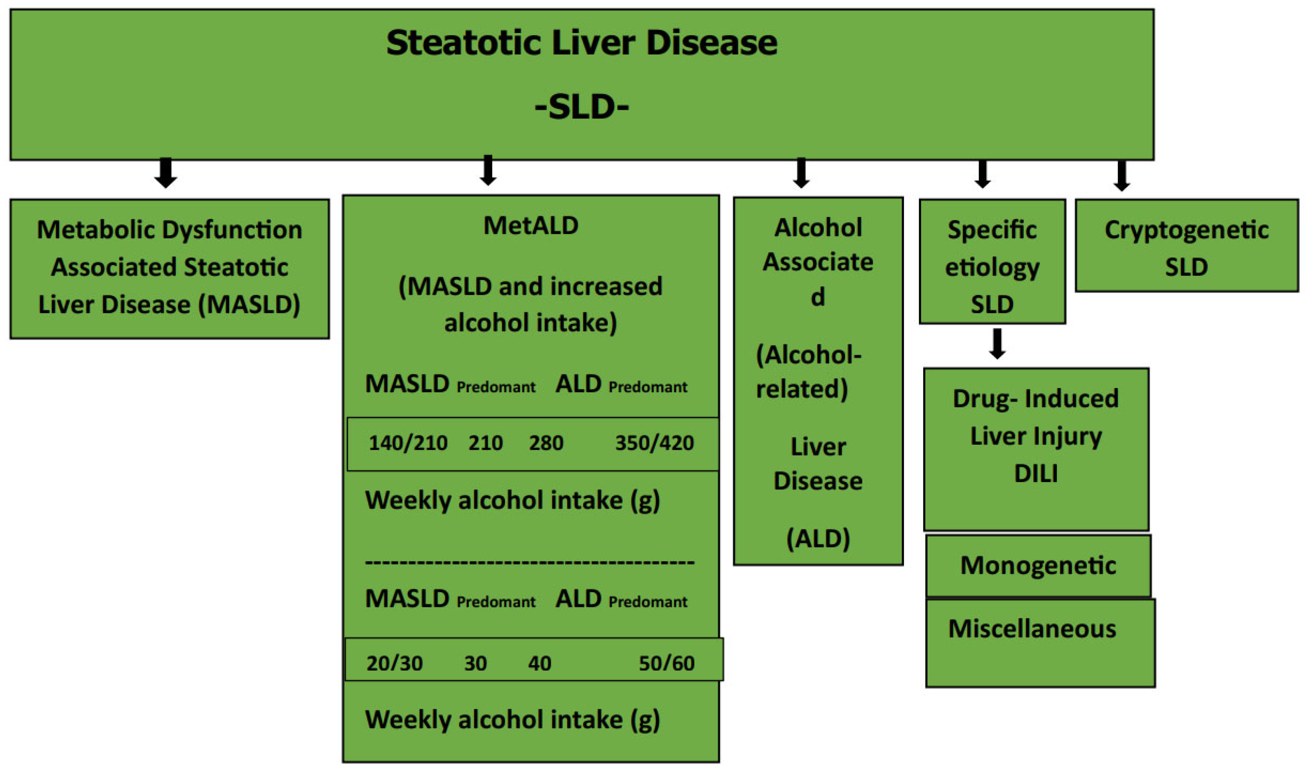 Diagnostics 13 03104 g001