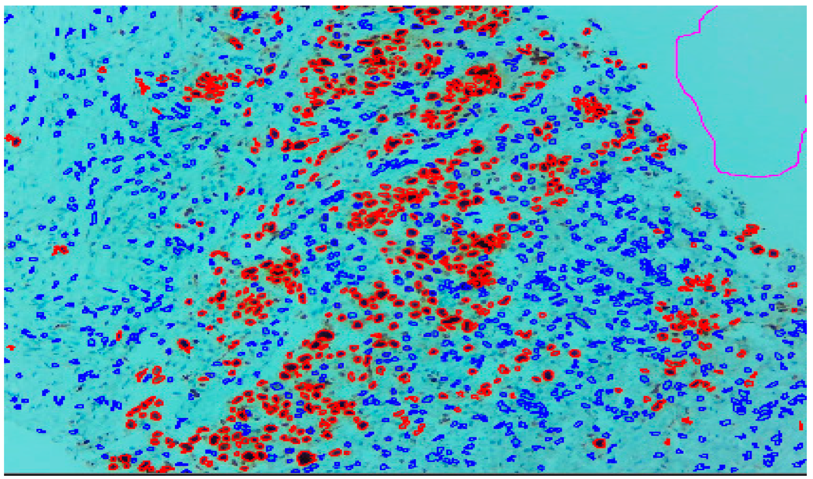 Diagnostics 13 03105 g001