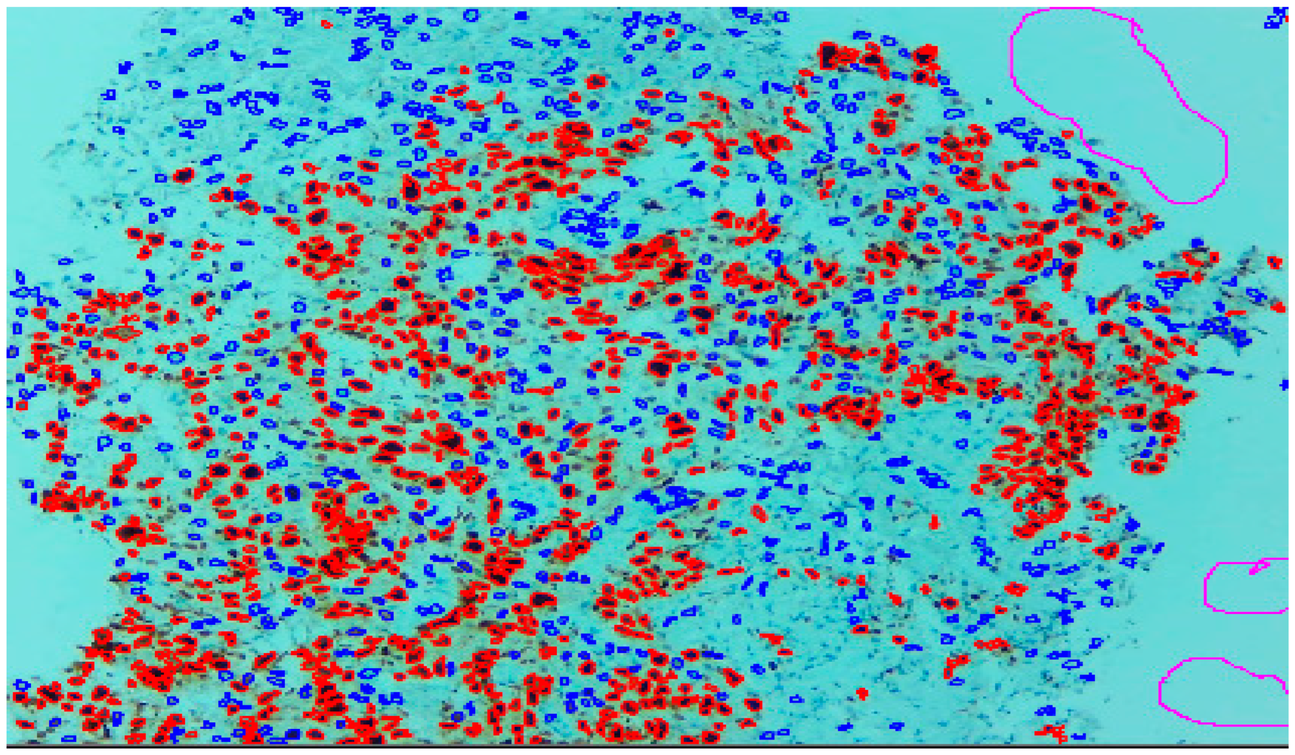 Diagnostics 13 03105 g002