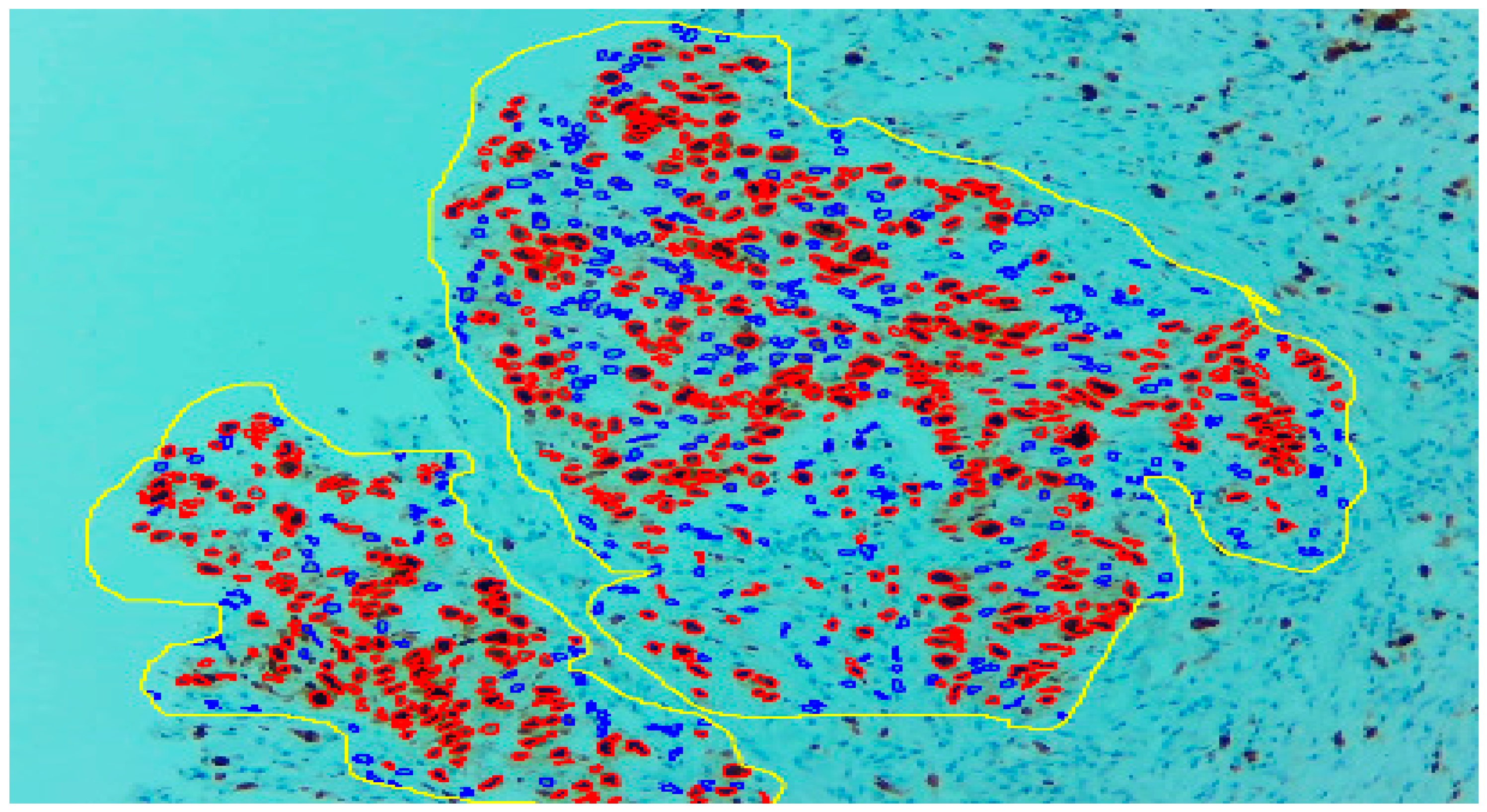 Diagnostics 13 03105 g003