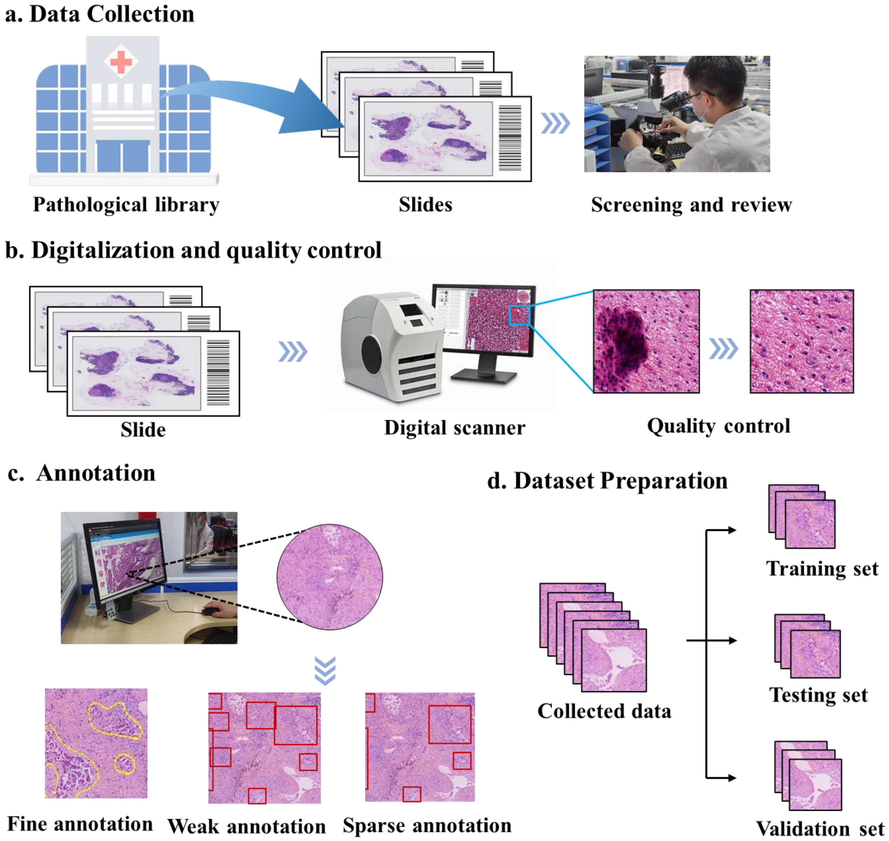 Diagnostics 13 03115 g002