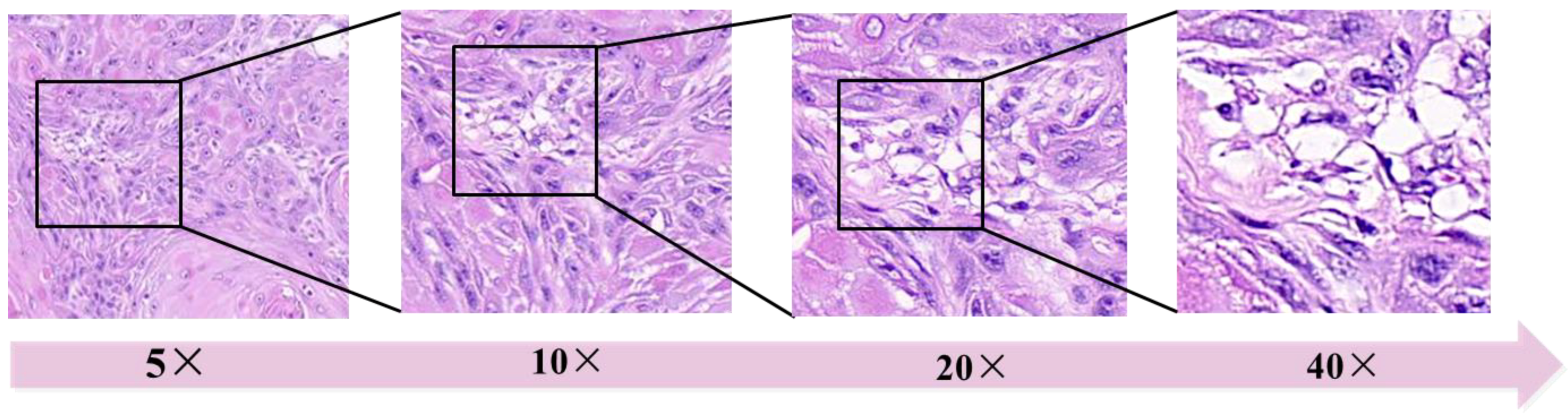 Diagnostics 13 03115 g003