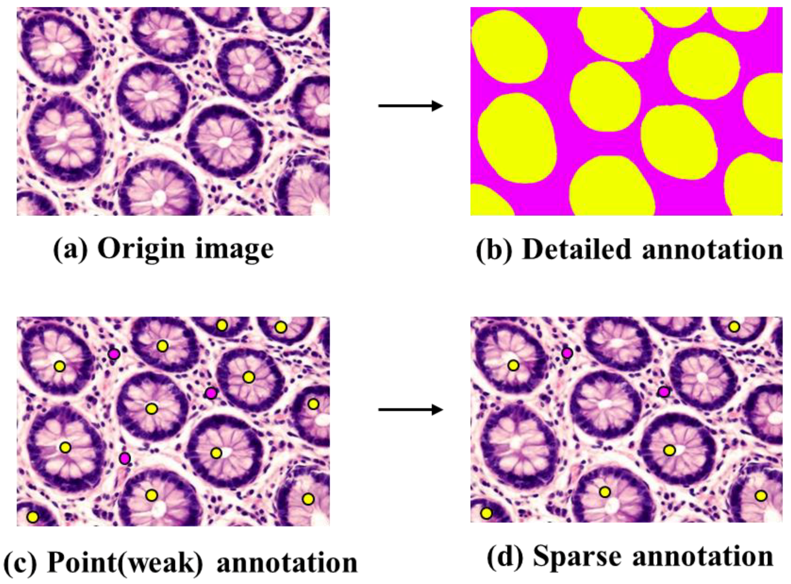 Diagnostics 13 03115 g008