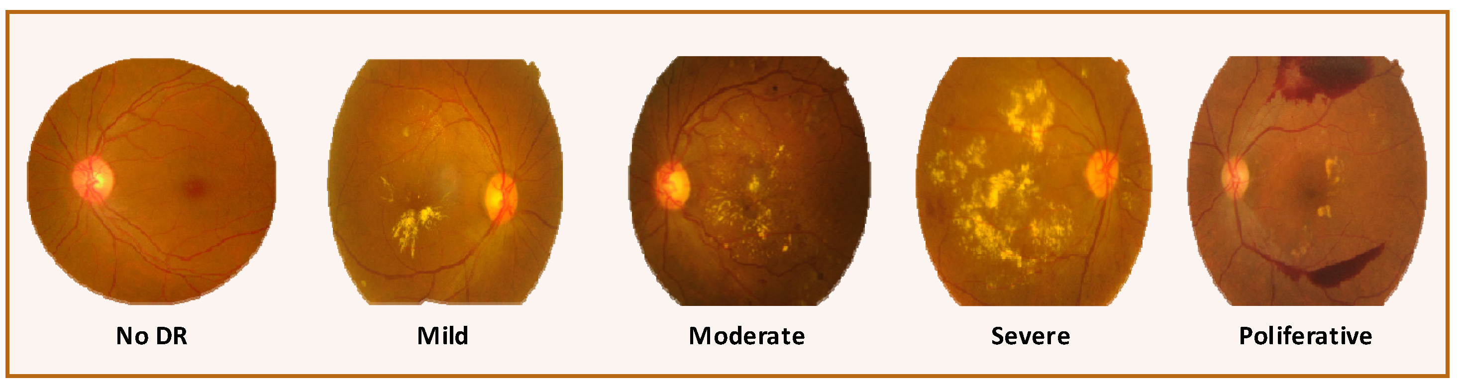 Diagnostics 13 03116 g001