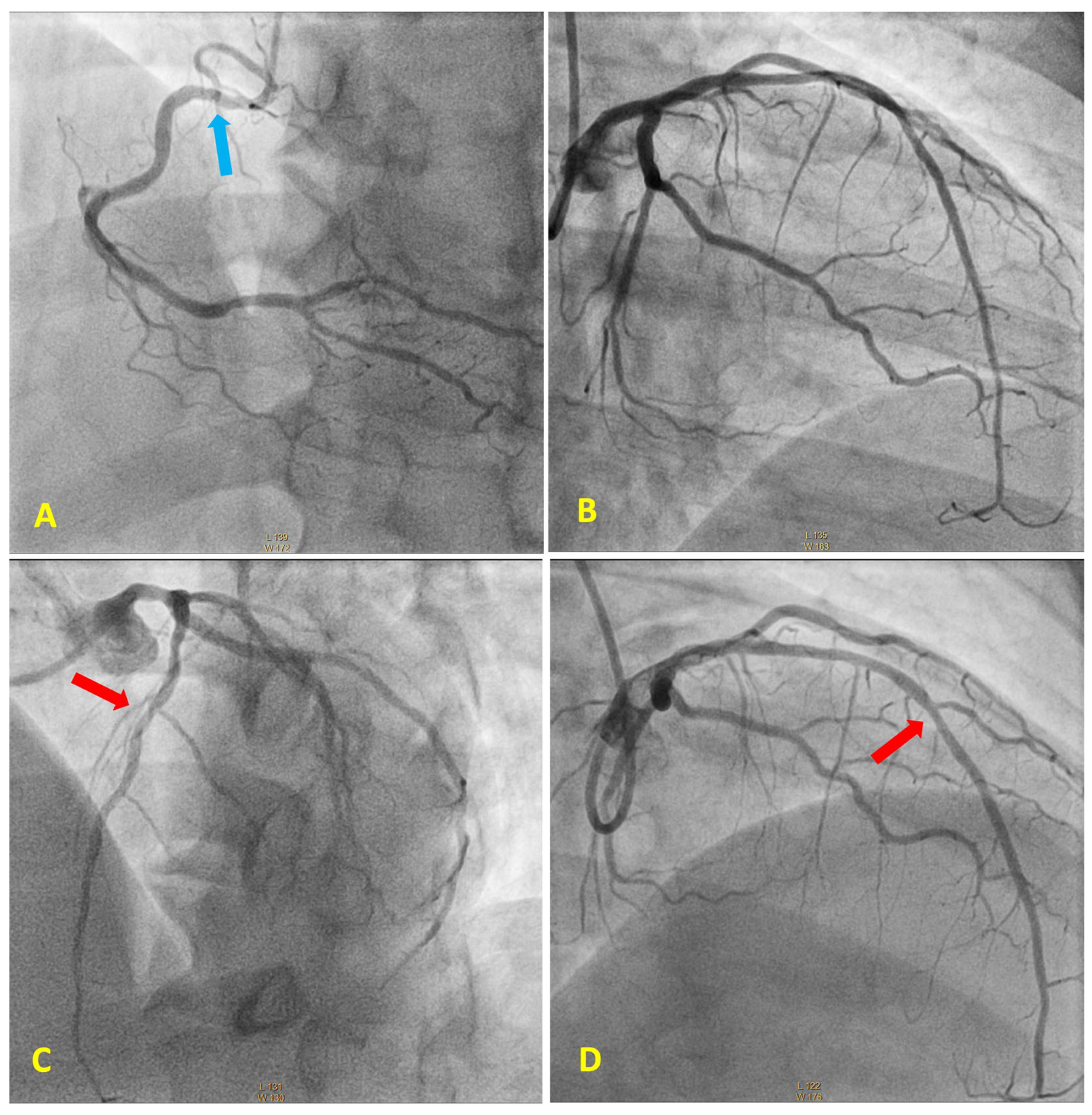 Diagnostics 13 03118 g002