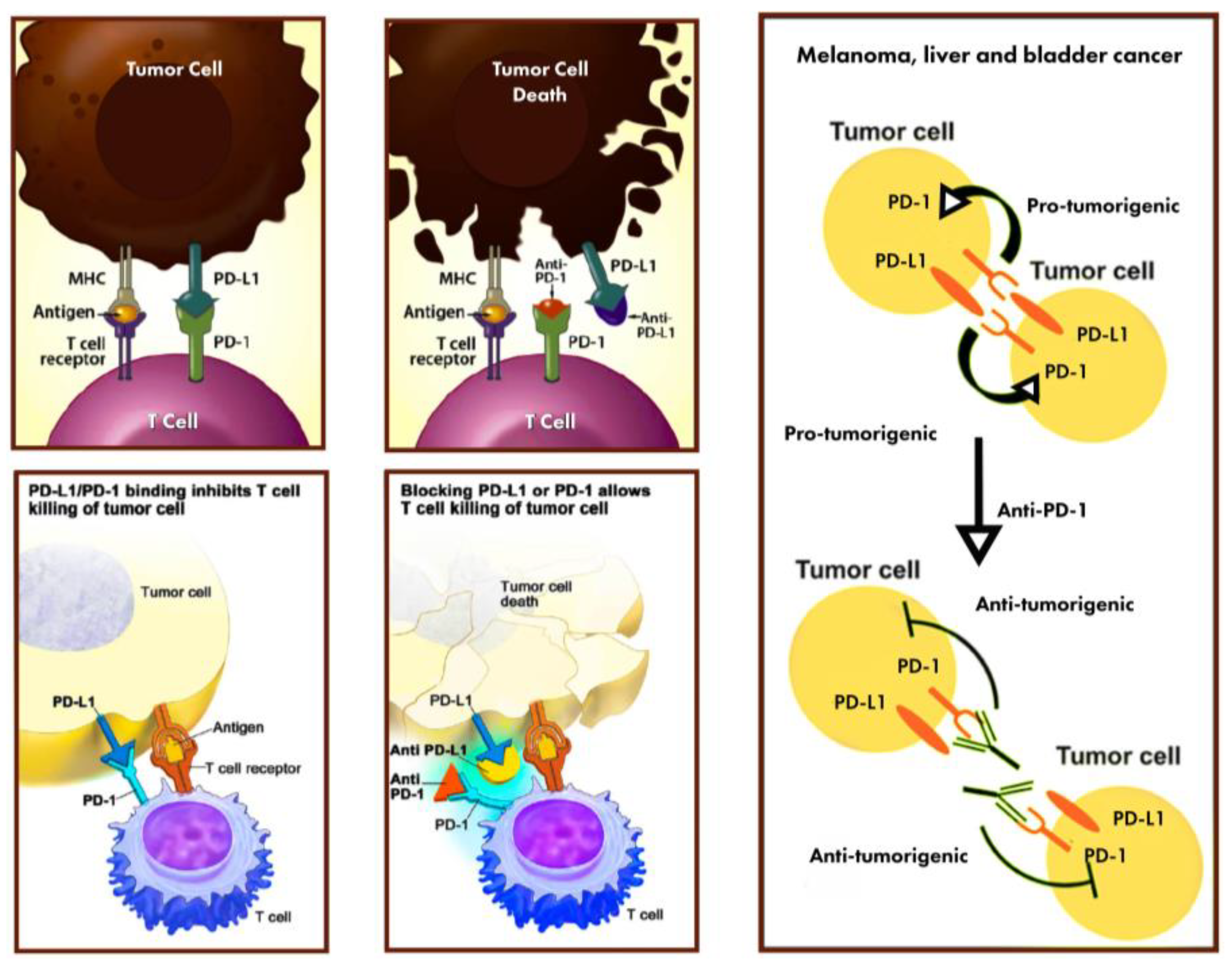 Diagnostics 13 03119 g001 Diagnostics 13 03119 g001