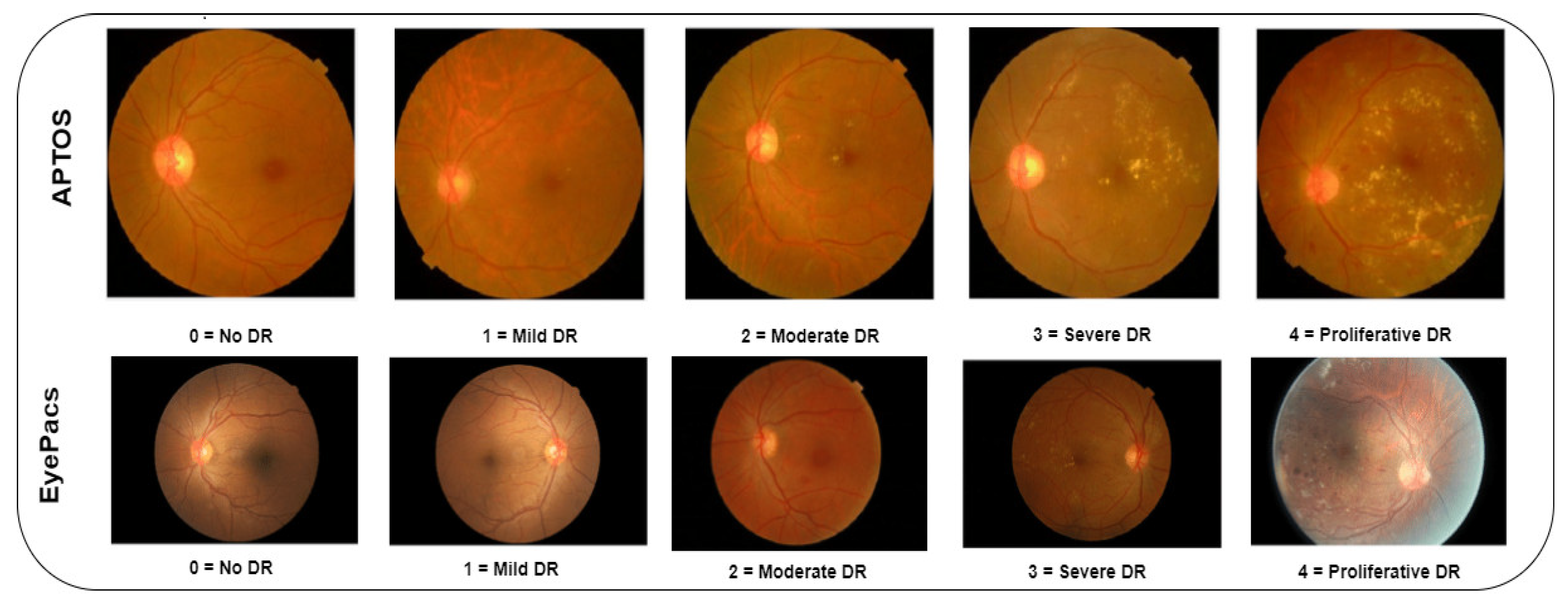 Diagnostics 13 03120 g002