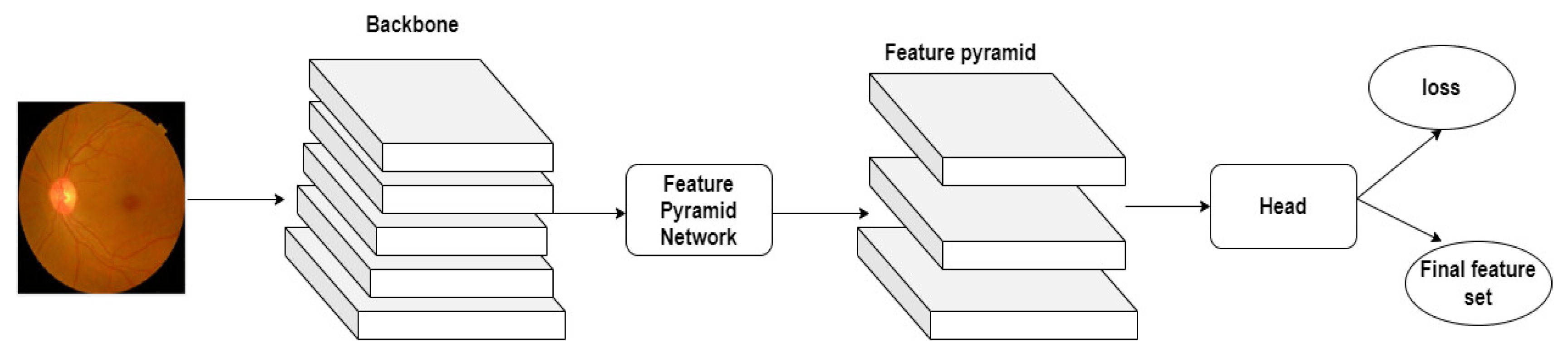 Diagnostics 13 03120 g003