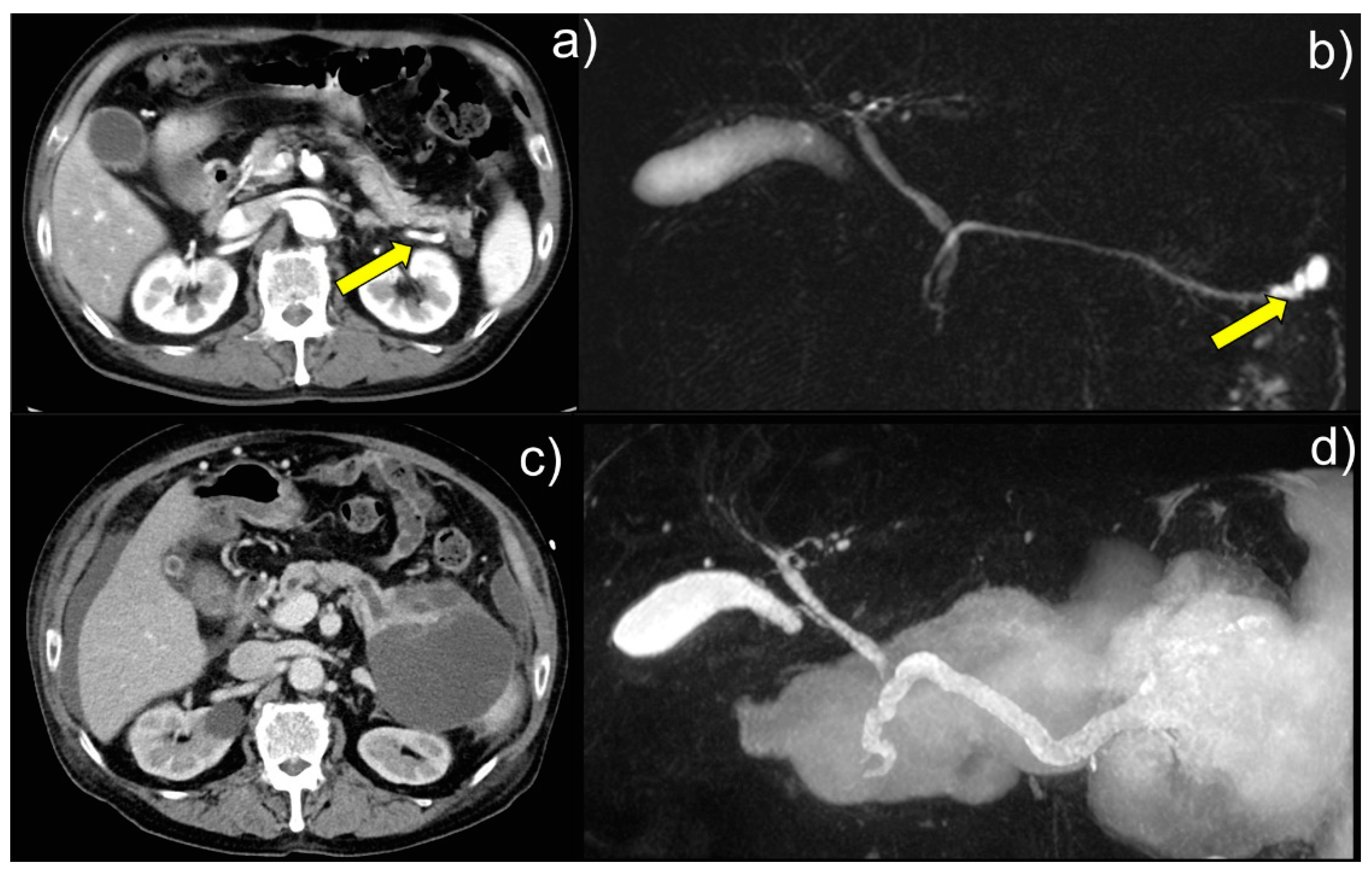 Diagnostics 13 03123 g001