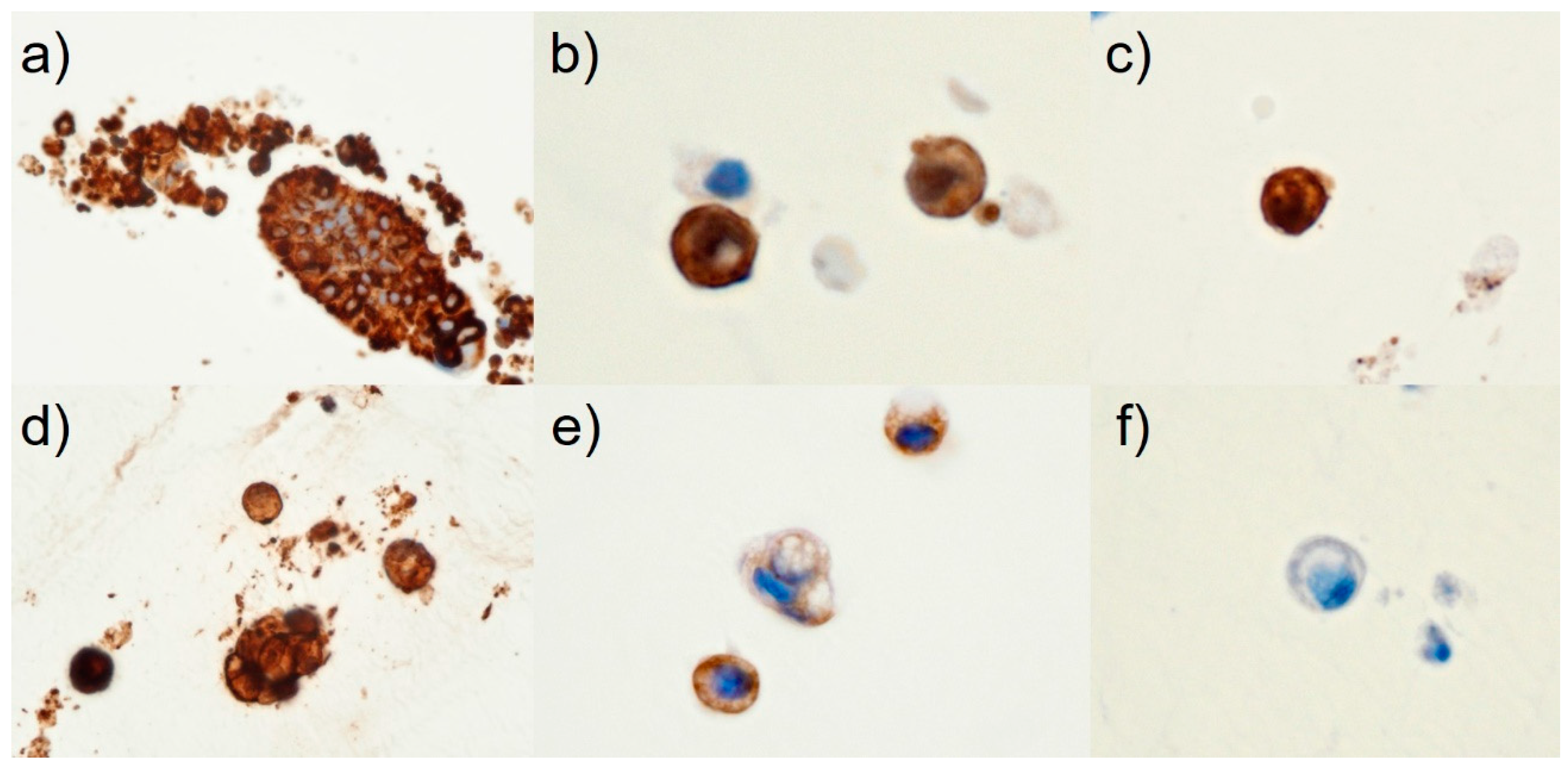 Diagnostics 13 03123 g003