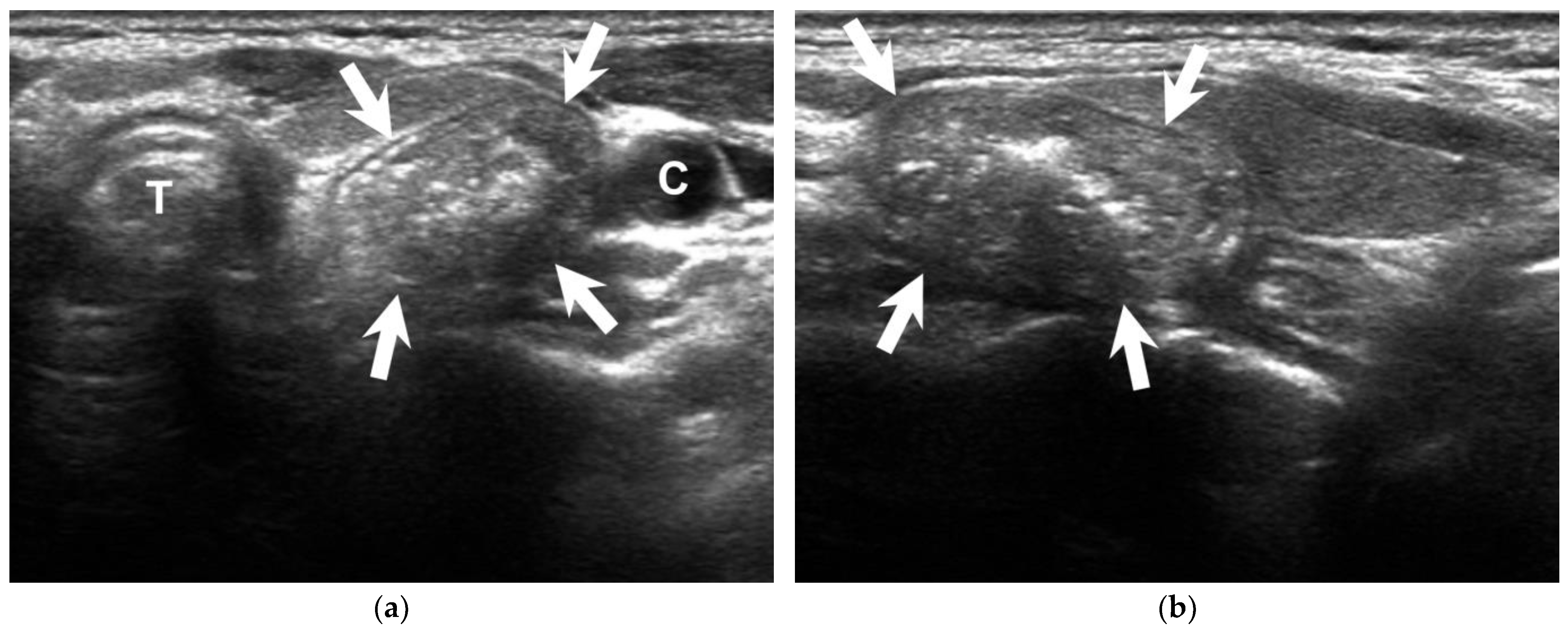 Diagnostics 13 03128 g001