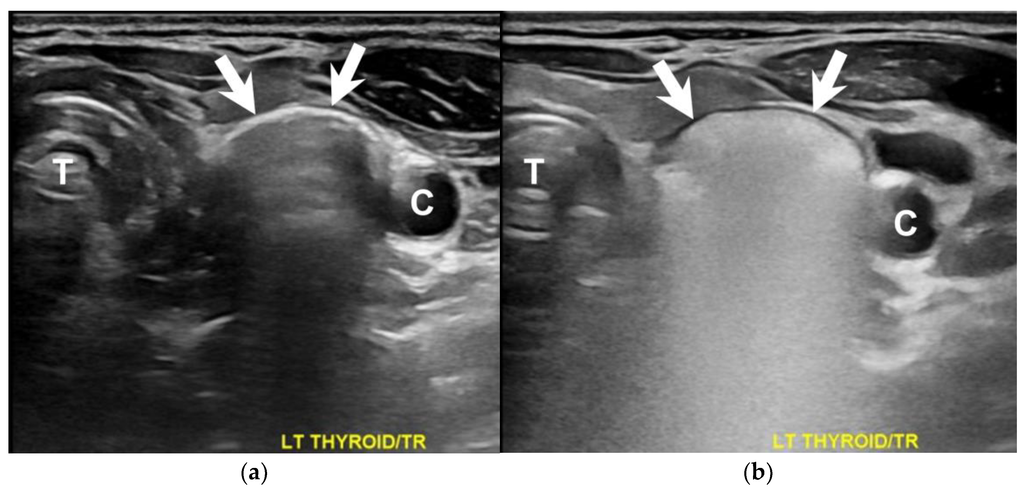 Diagnostics 13 03128 g002