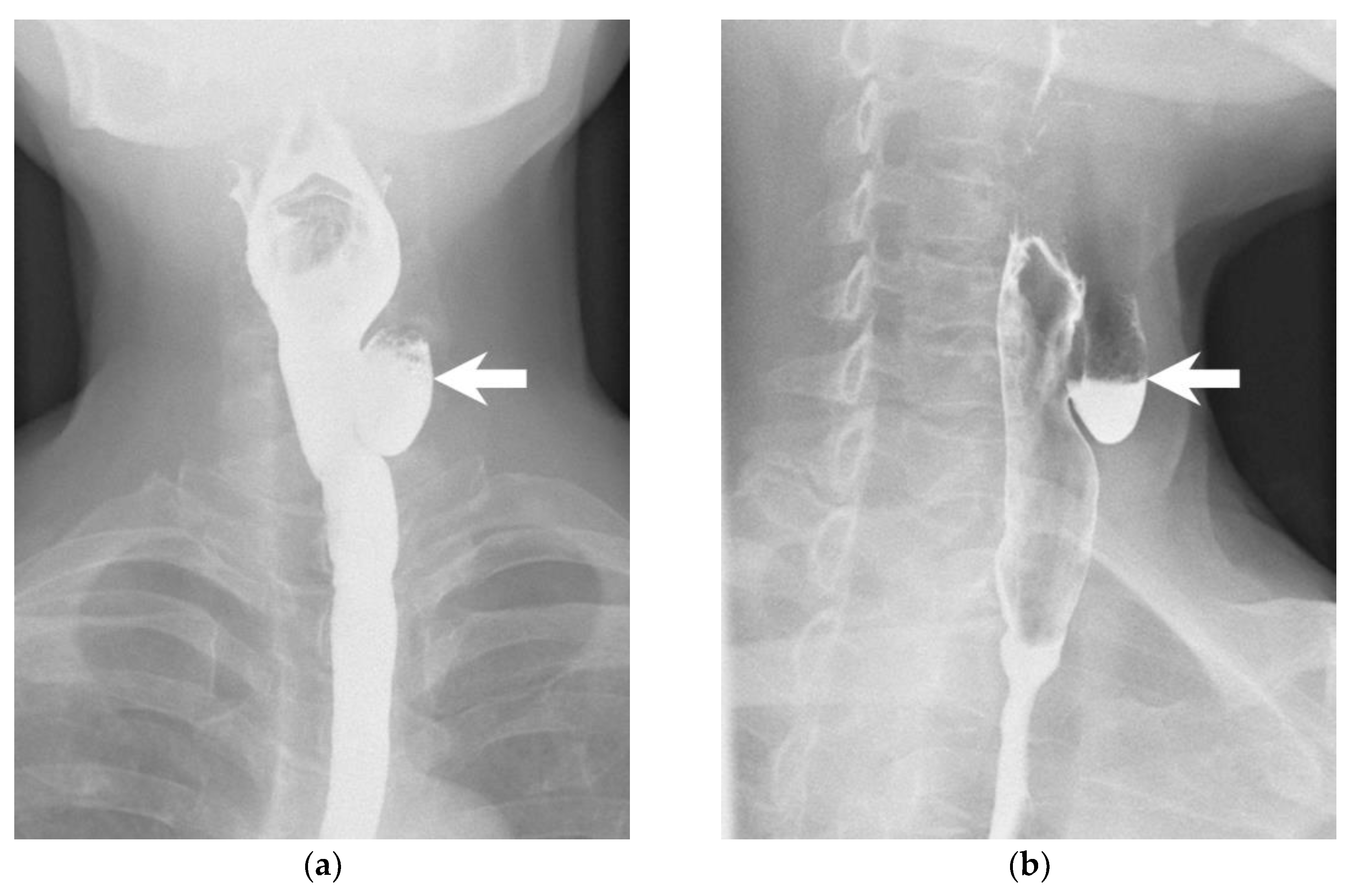 Diagnostics 13 03128 g004