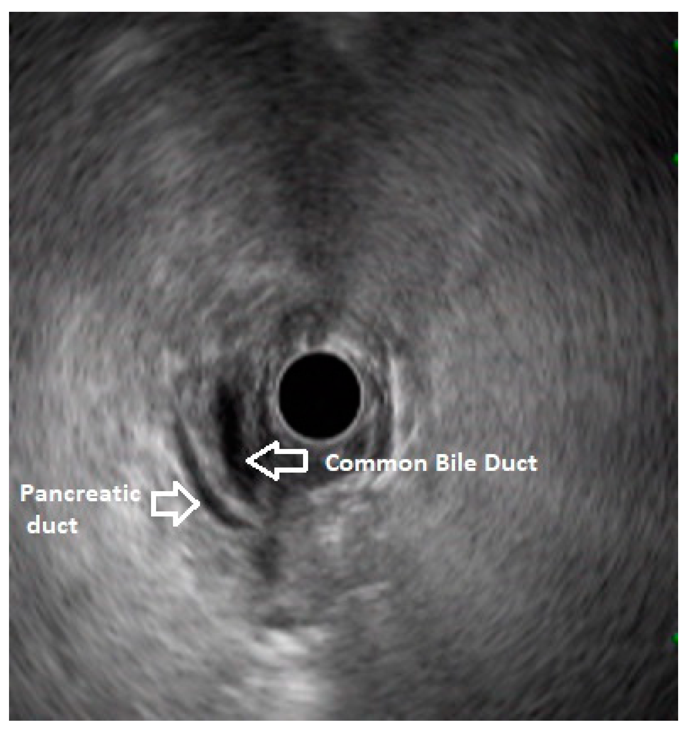 Diagnostics 13 03129 g001