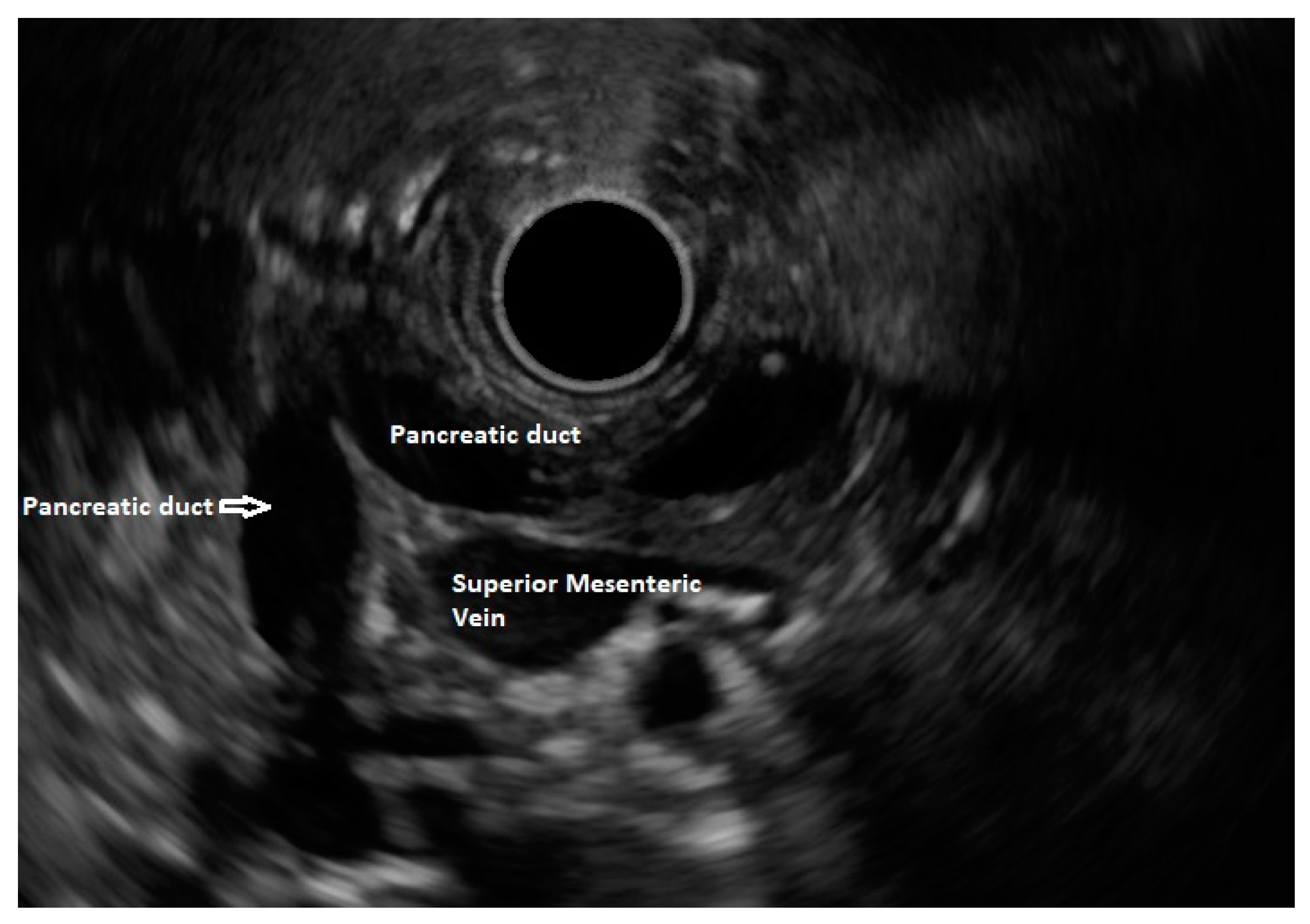 Diagnostics 13 03129 g004