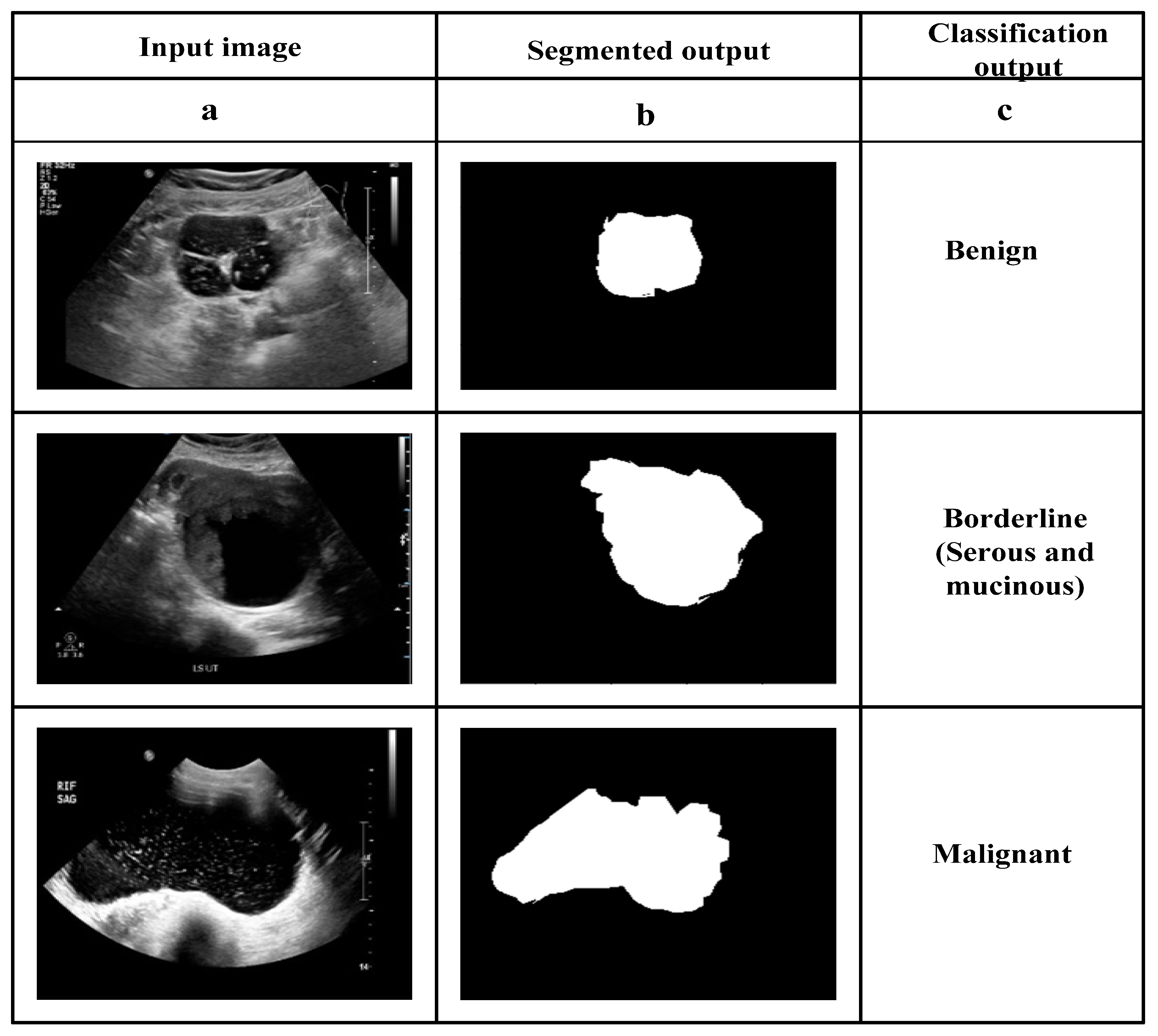 Diagnostics 13 03131 g003
