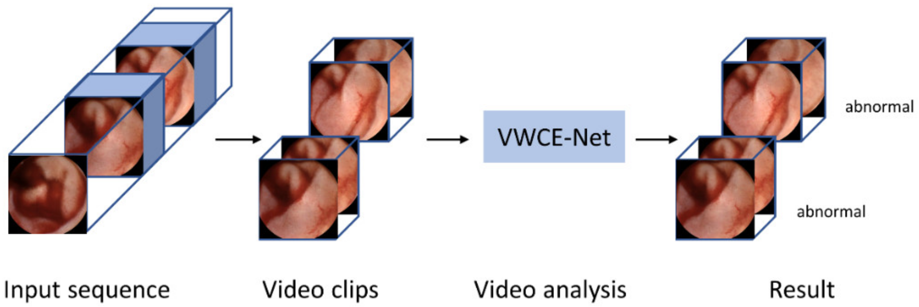 Diagnostics 13 03133 g003