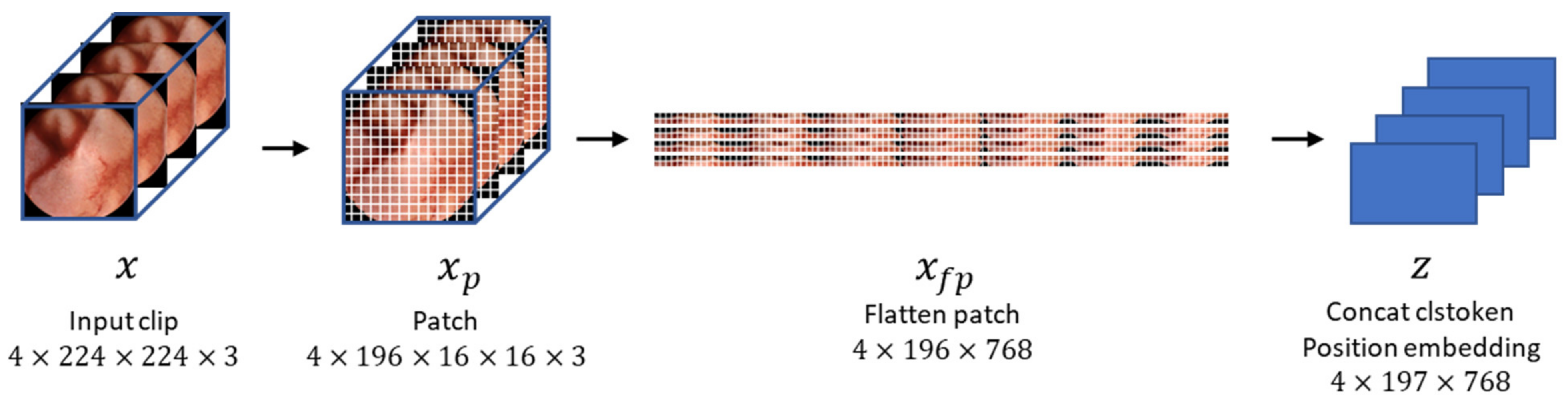 Diagnostics 13 03133 g004