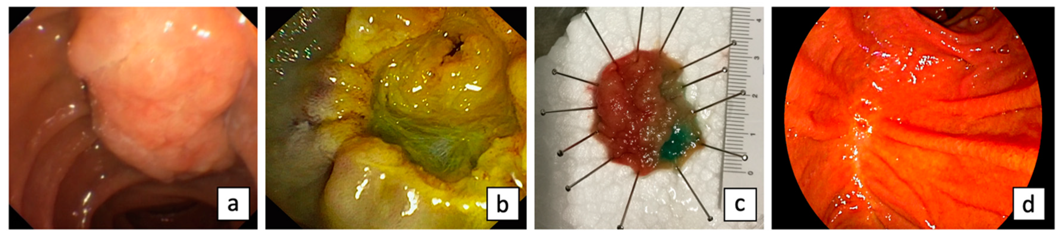 Diagnostics 13 03138 g002