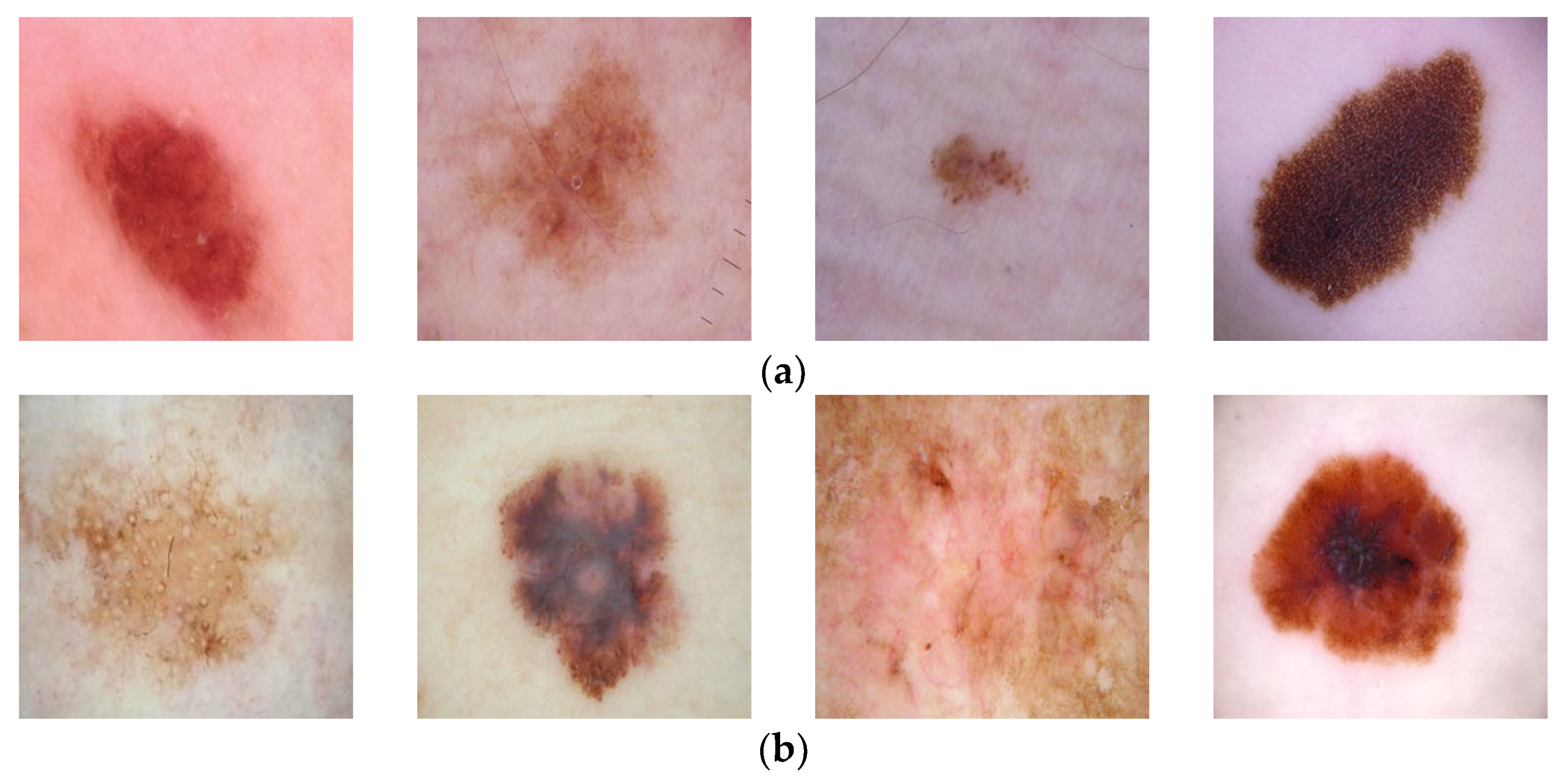 Diagnostics 13 03142 g003