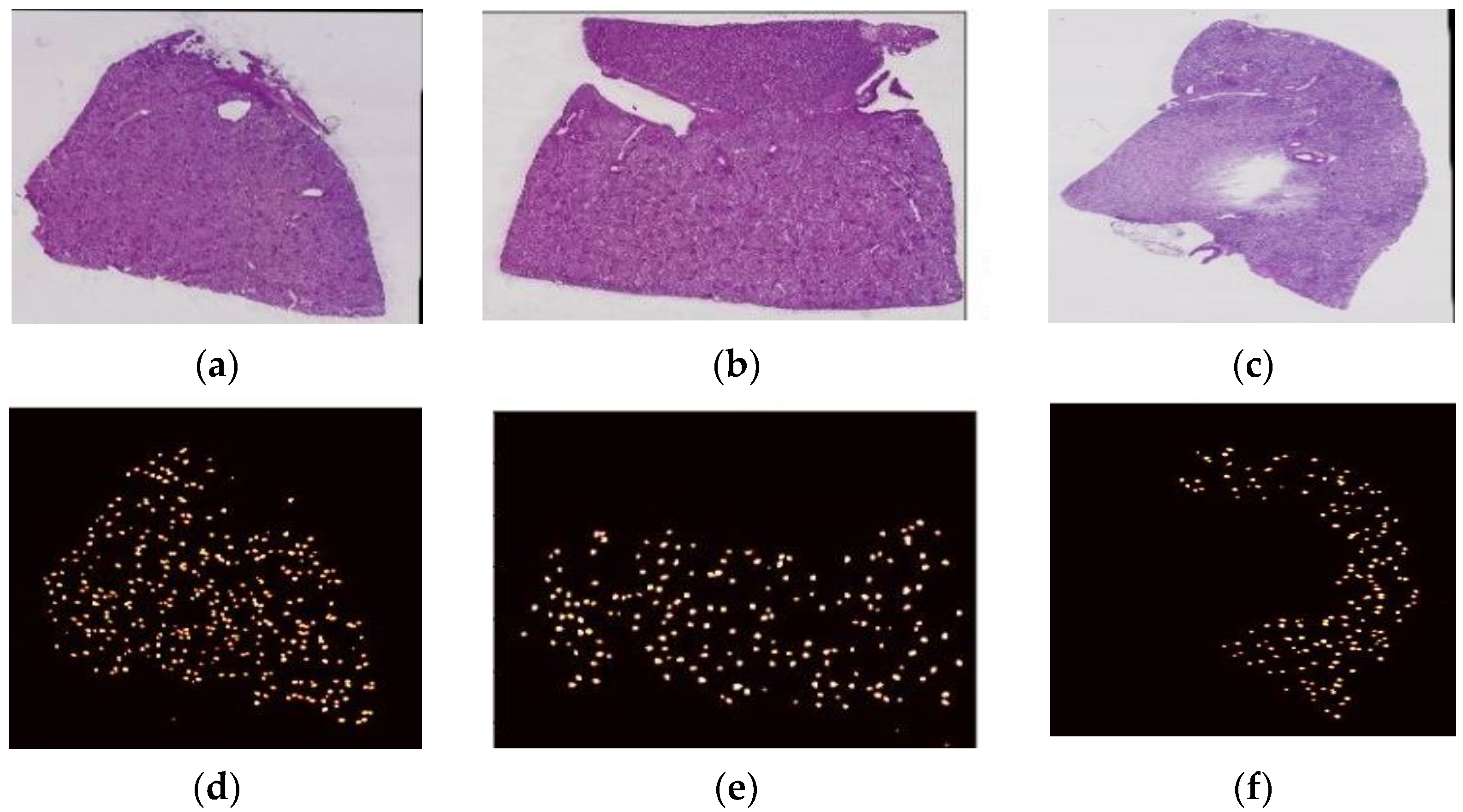 Diagnostics 13 03152 g001