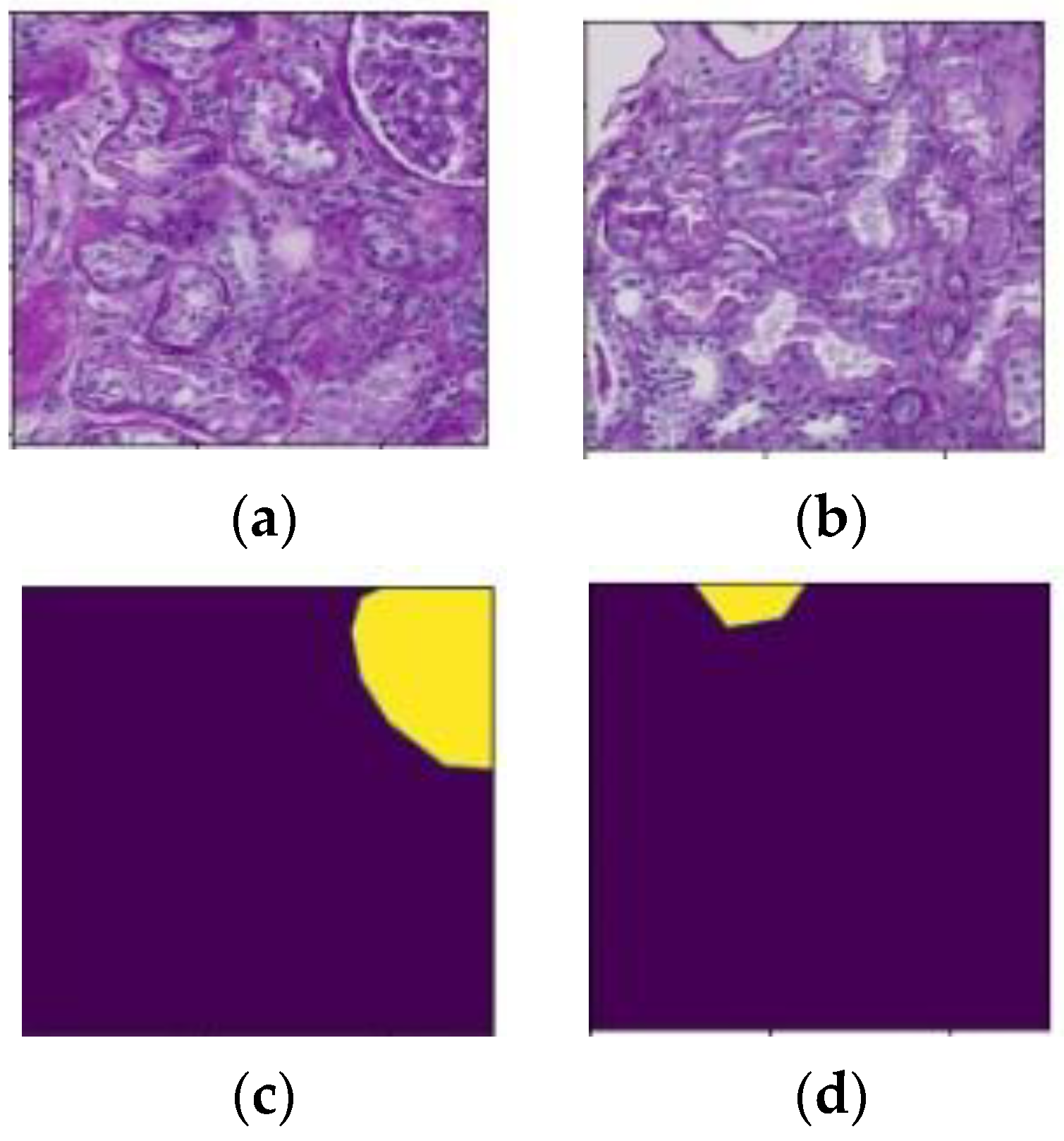 Diagnostics 13 03152 g002