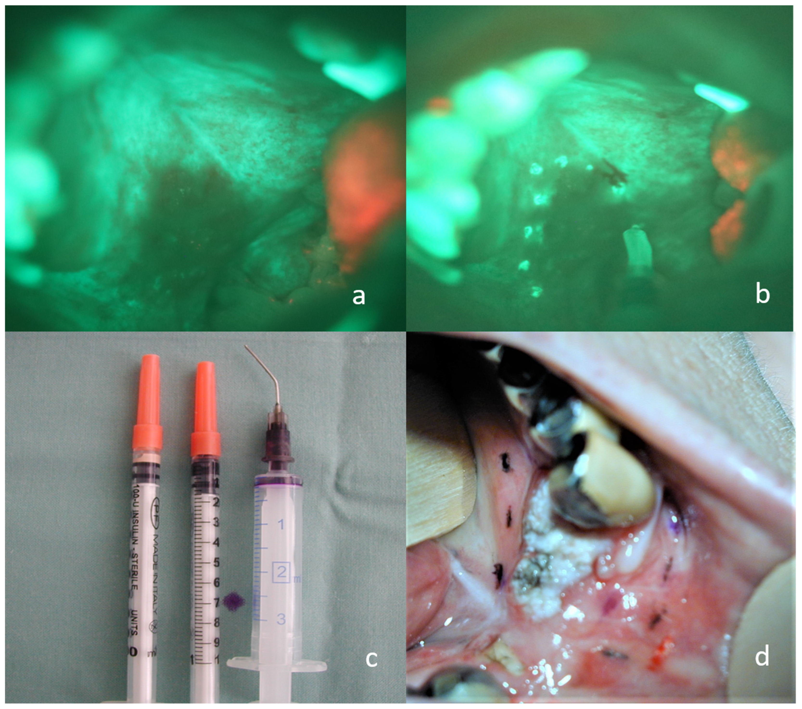 Diagnostics 13 03161 g002 Diagnostics 13 03161 g002