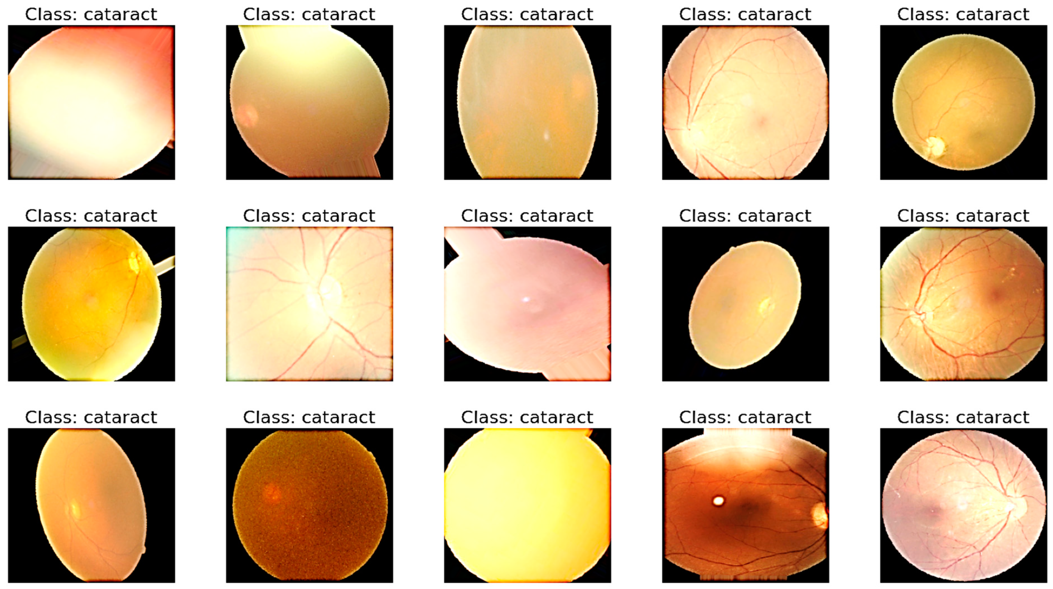 Diagnostics 13 03165 g003