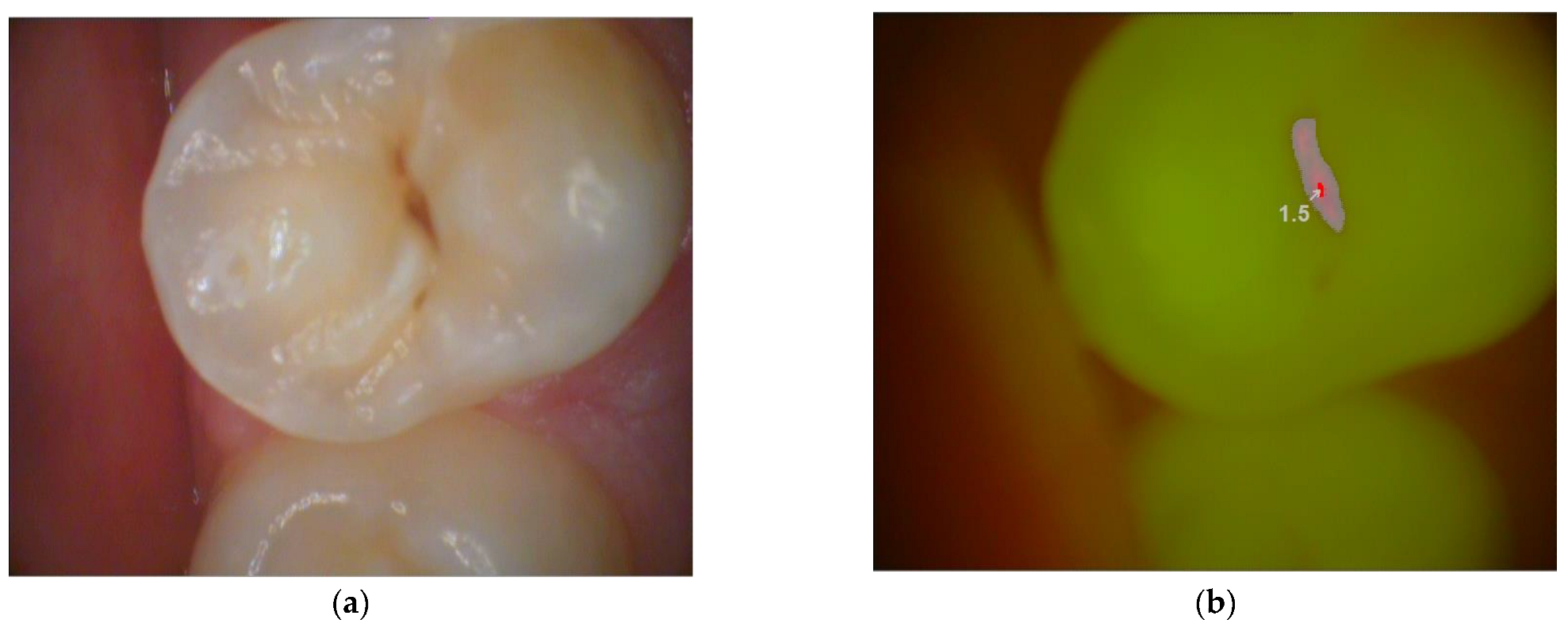 Diagnostics 13 03170 g003