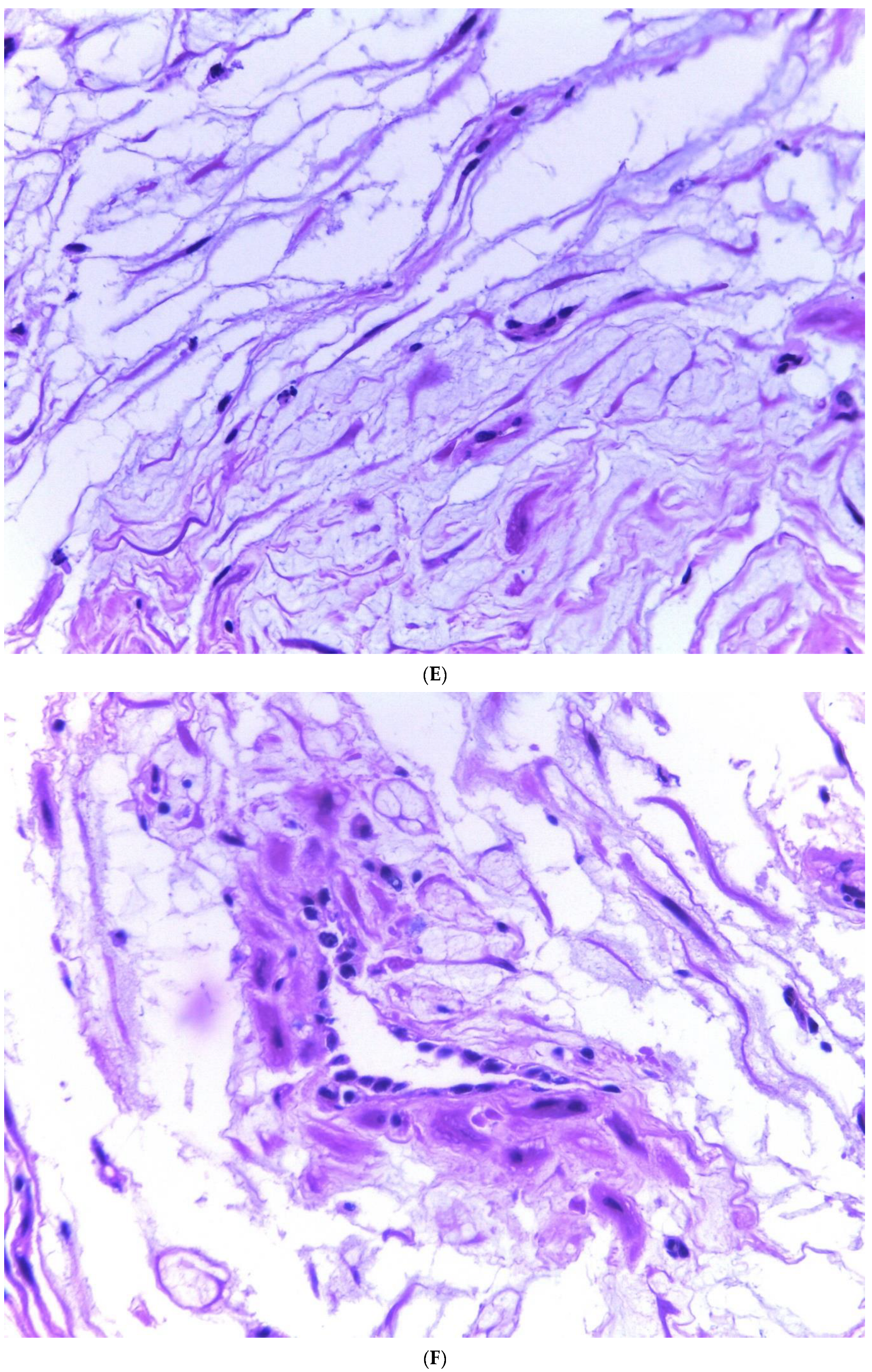 Diagnostics 13 03176 g002c