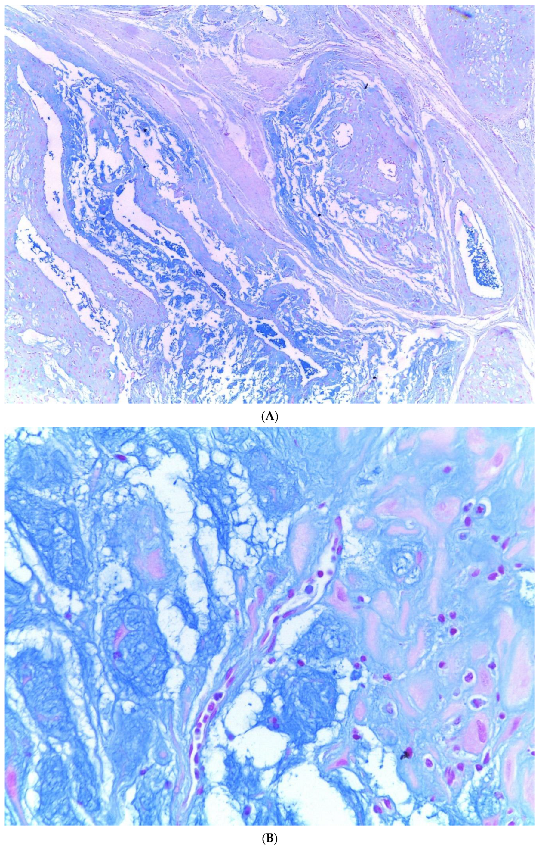 Diagnostics 13 03176 g003a