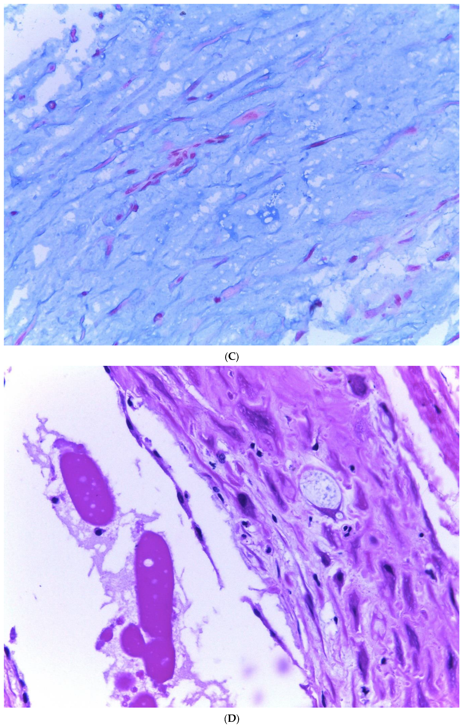 Diagnostics 13 03176 g003b