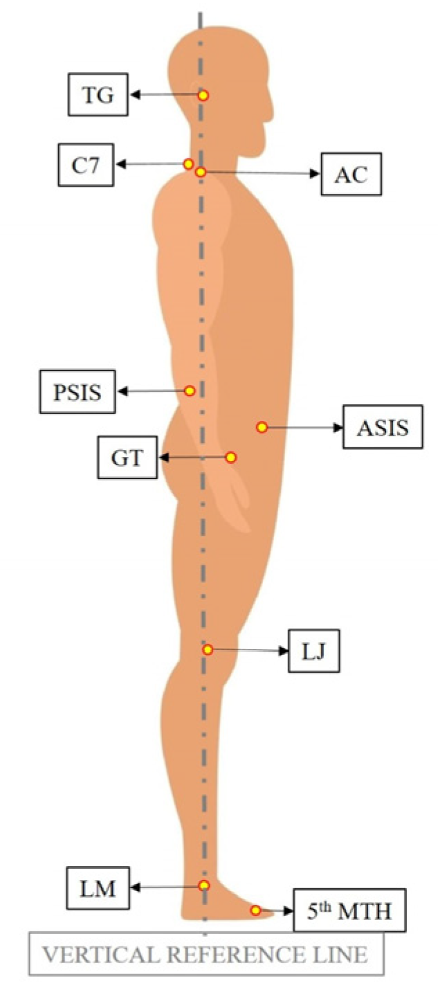 Diagnostics 13 03177 g003