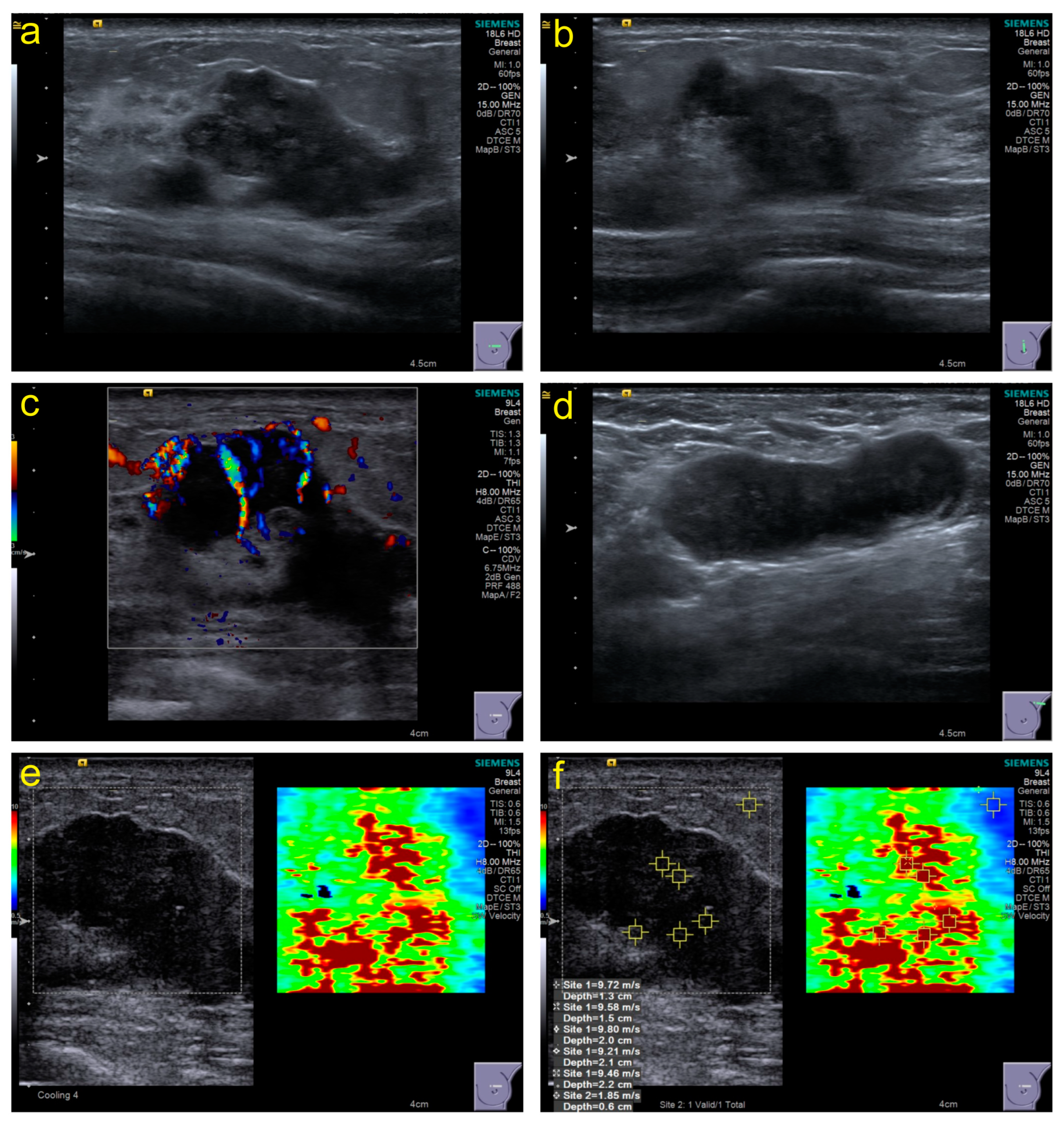 Diagnostics 13 03178 g002