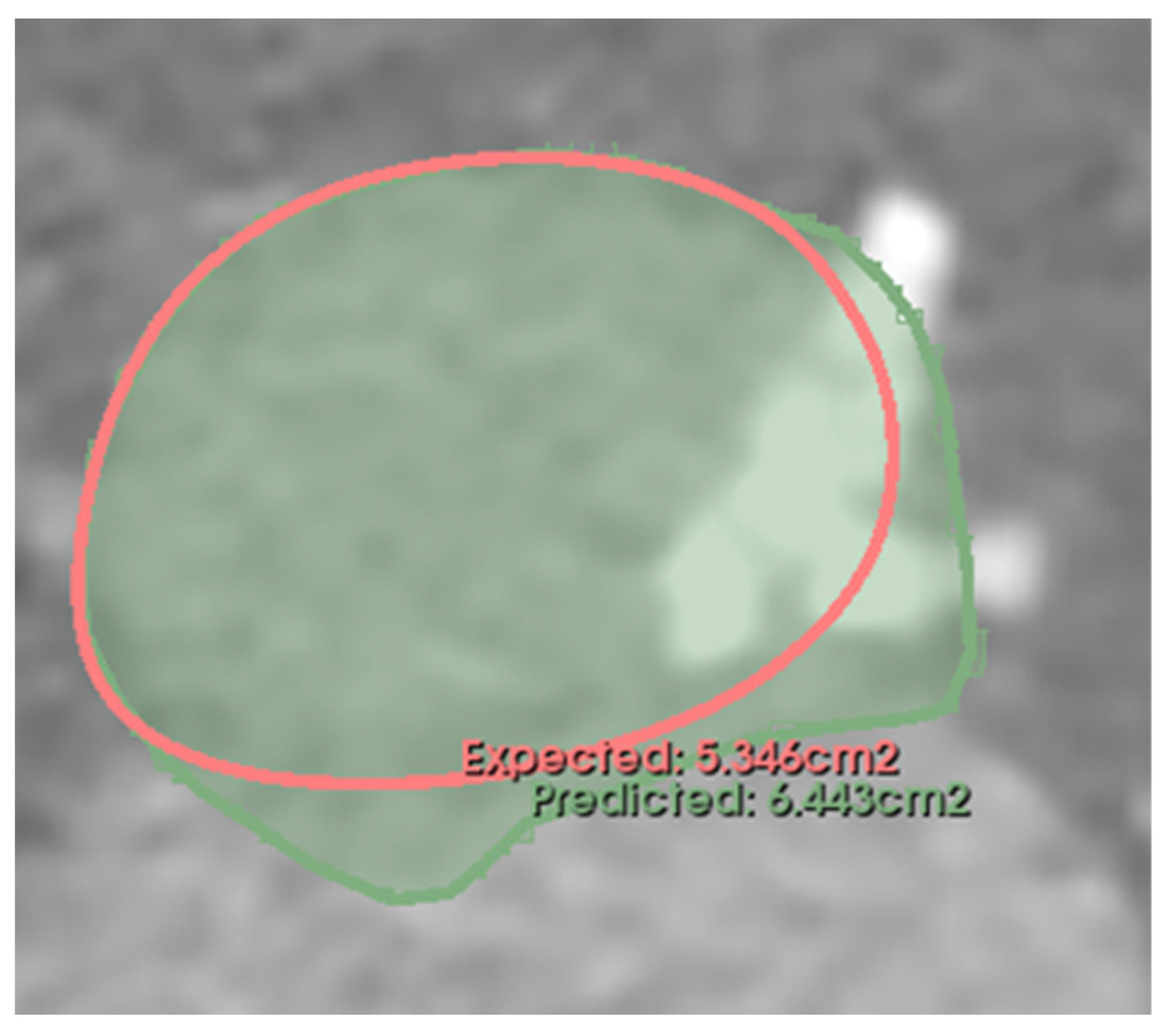 Diagnostics 13 03181 g006