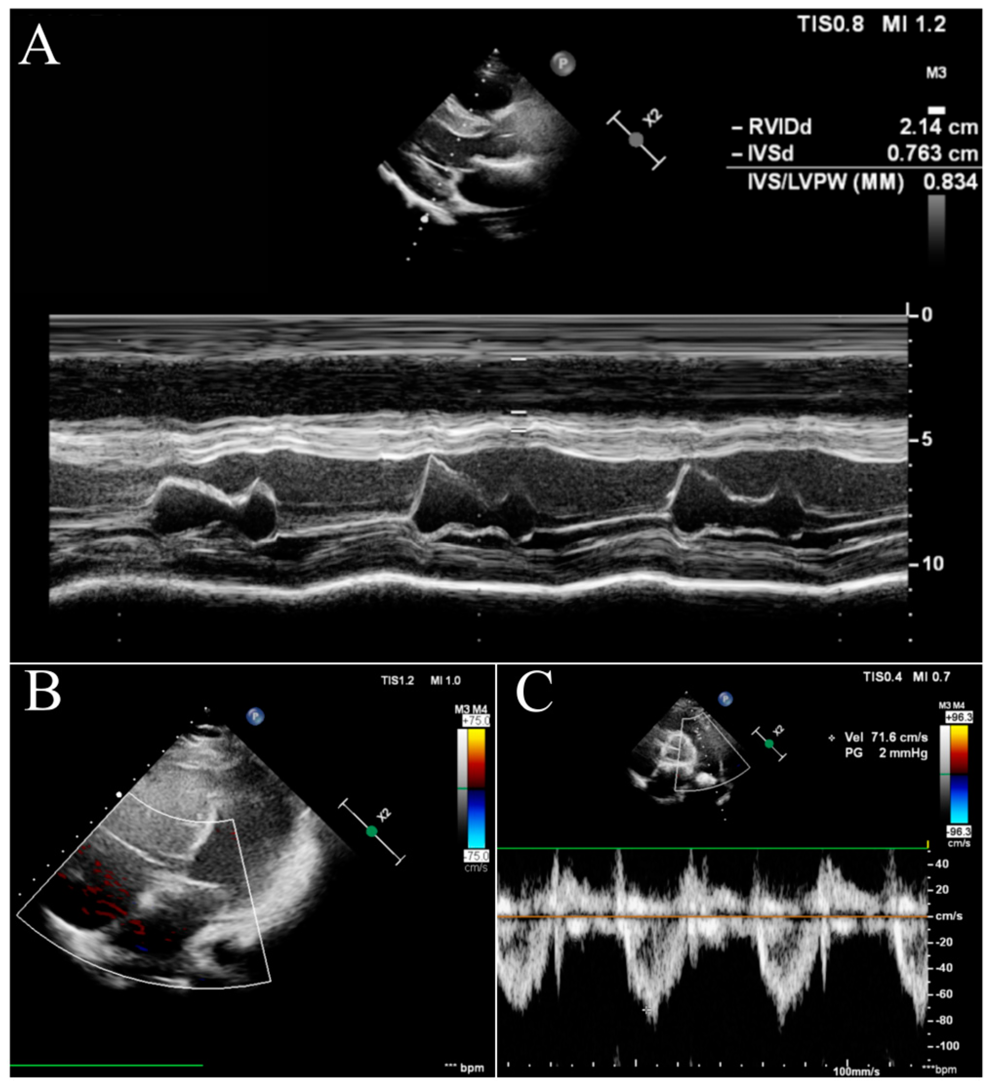 Diagnostics 13 03185 g003 Diagnostics 13 03185 g003