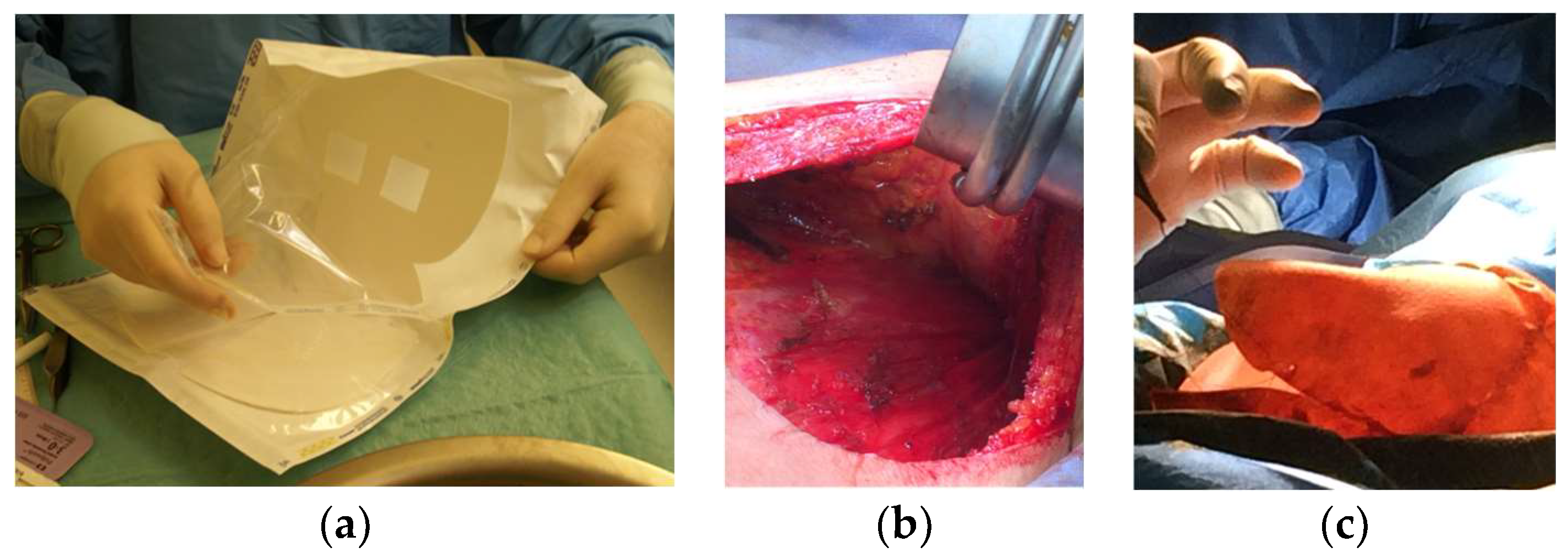 Diagnostics 13 03186 g004
