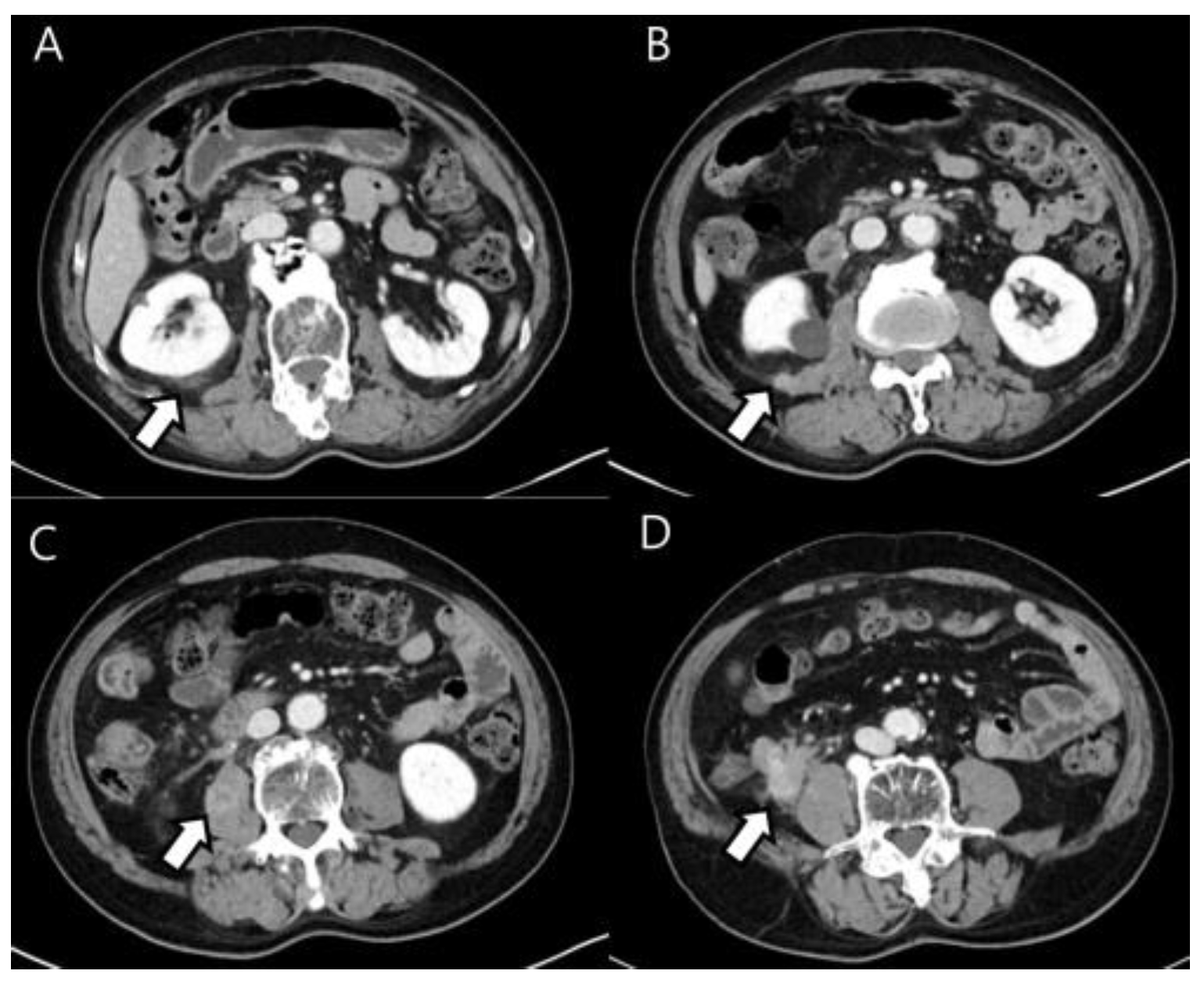 Diagnostics 13 03189 g001