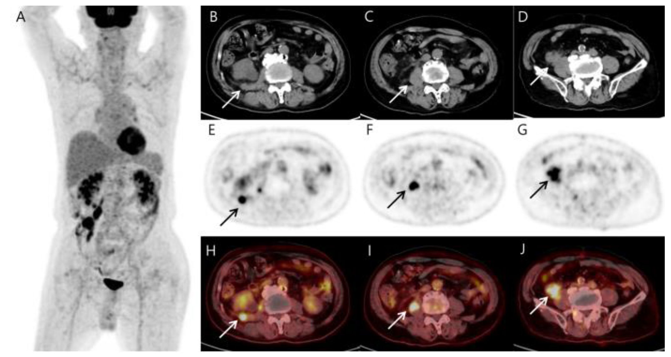 Diagnostics 13 03189 g002