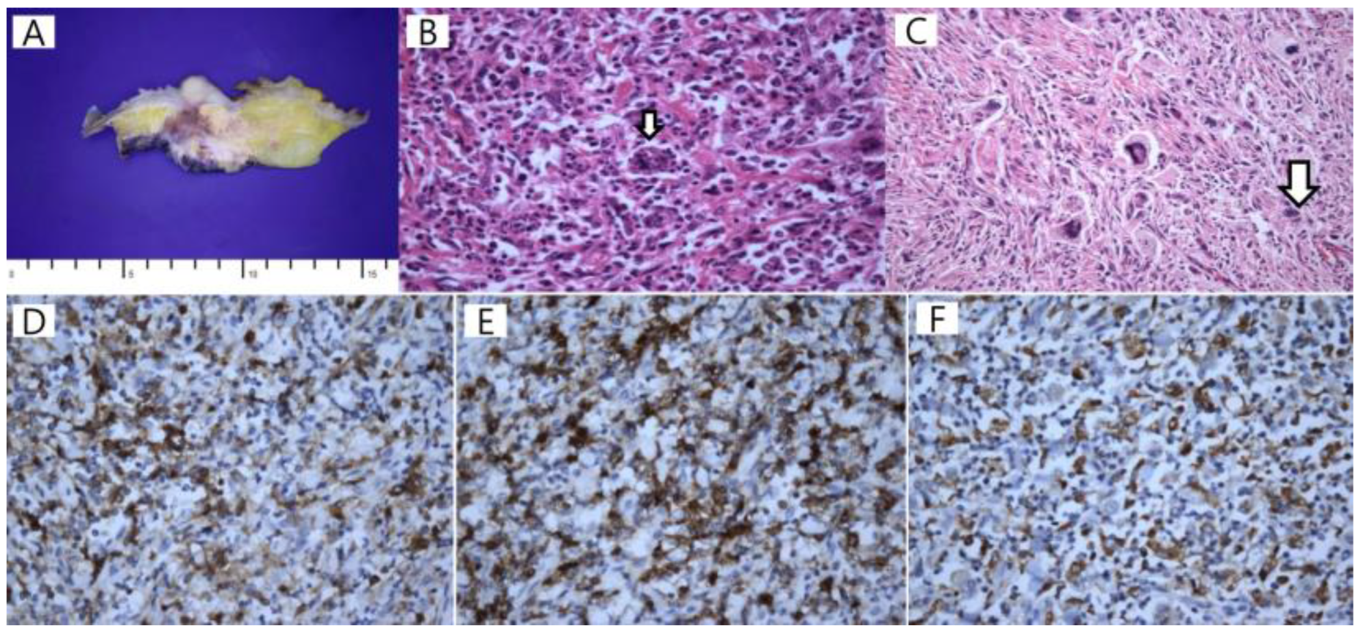 Diagnostics 13 03189 g003