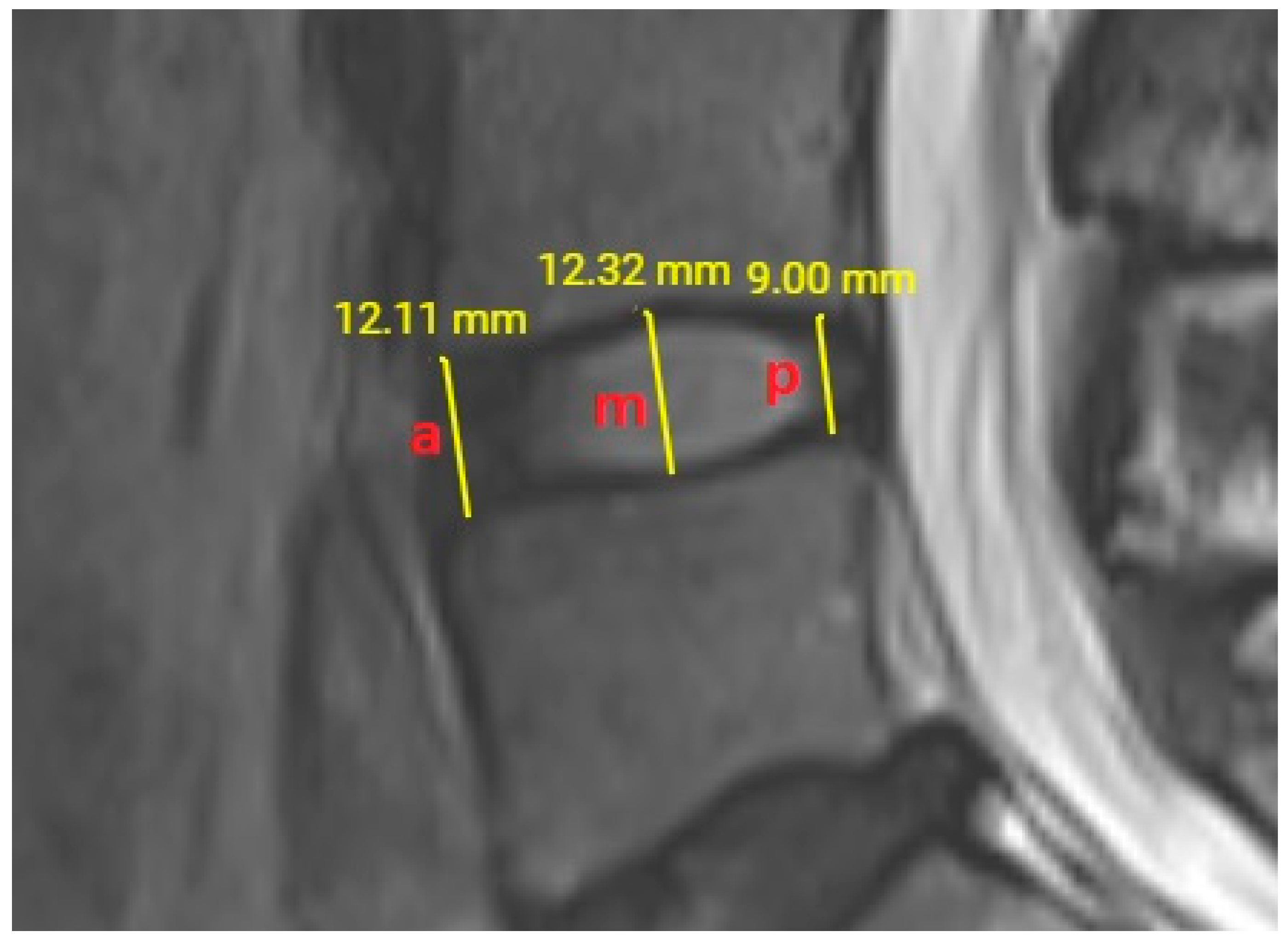 Diagnostics 13 03190 g003