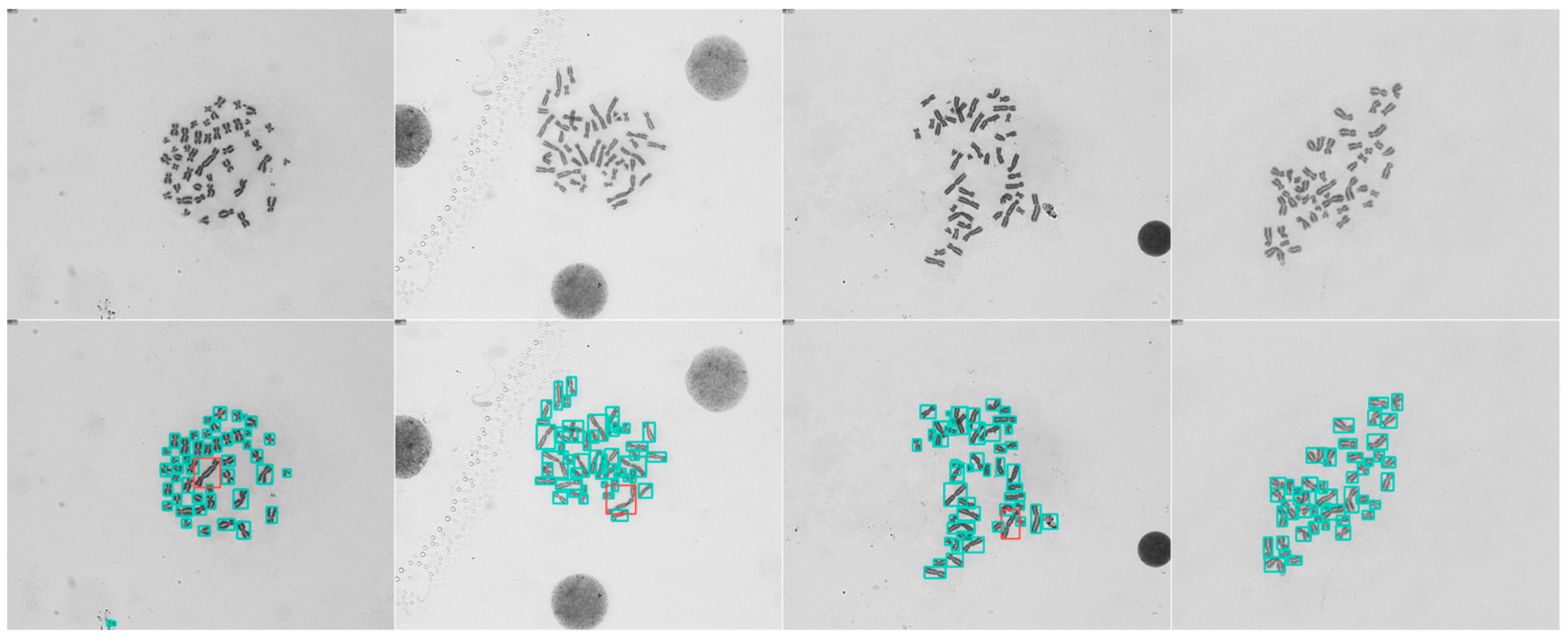 Diagnostics 13 03191 g006