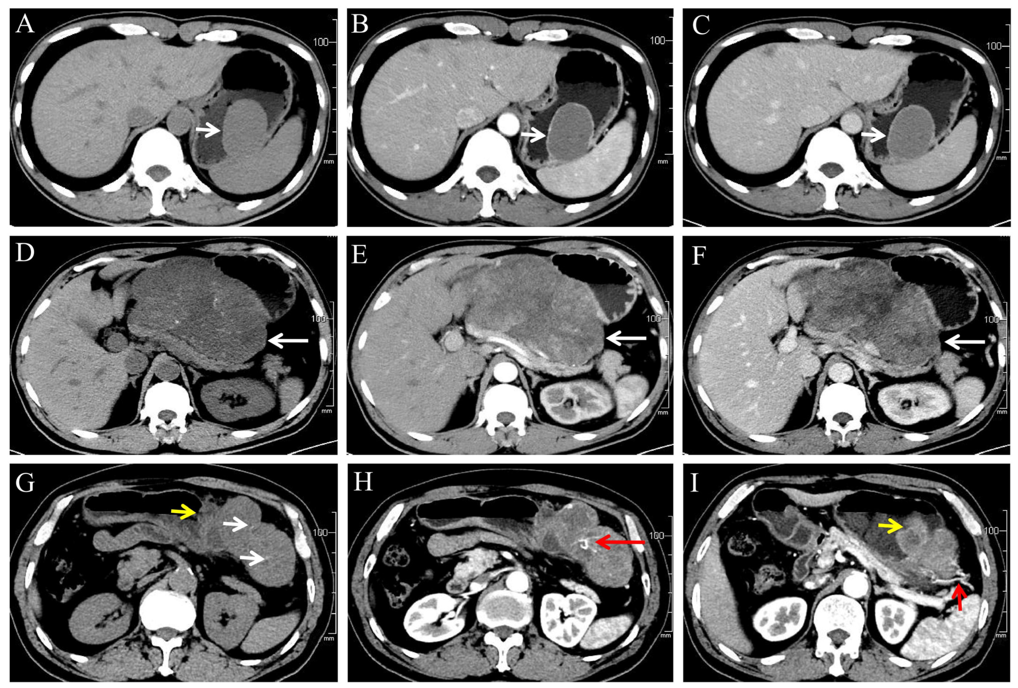Diagnostics 13 03192 g002