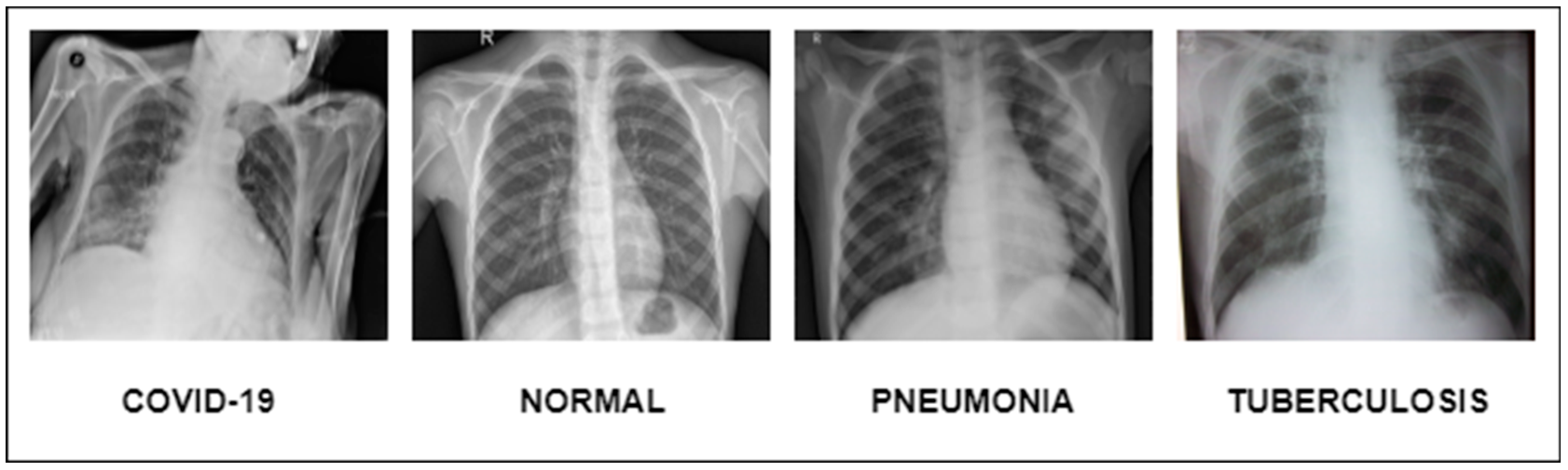 Diagnostics 13 03195 g001